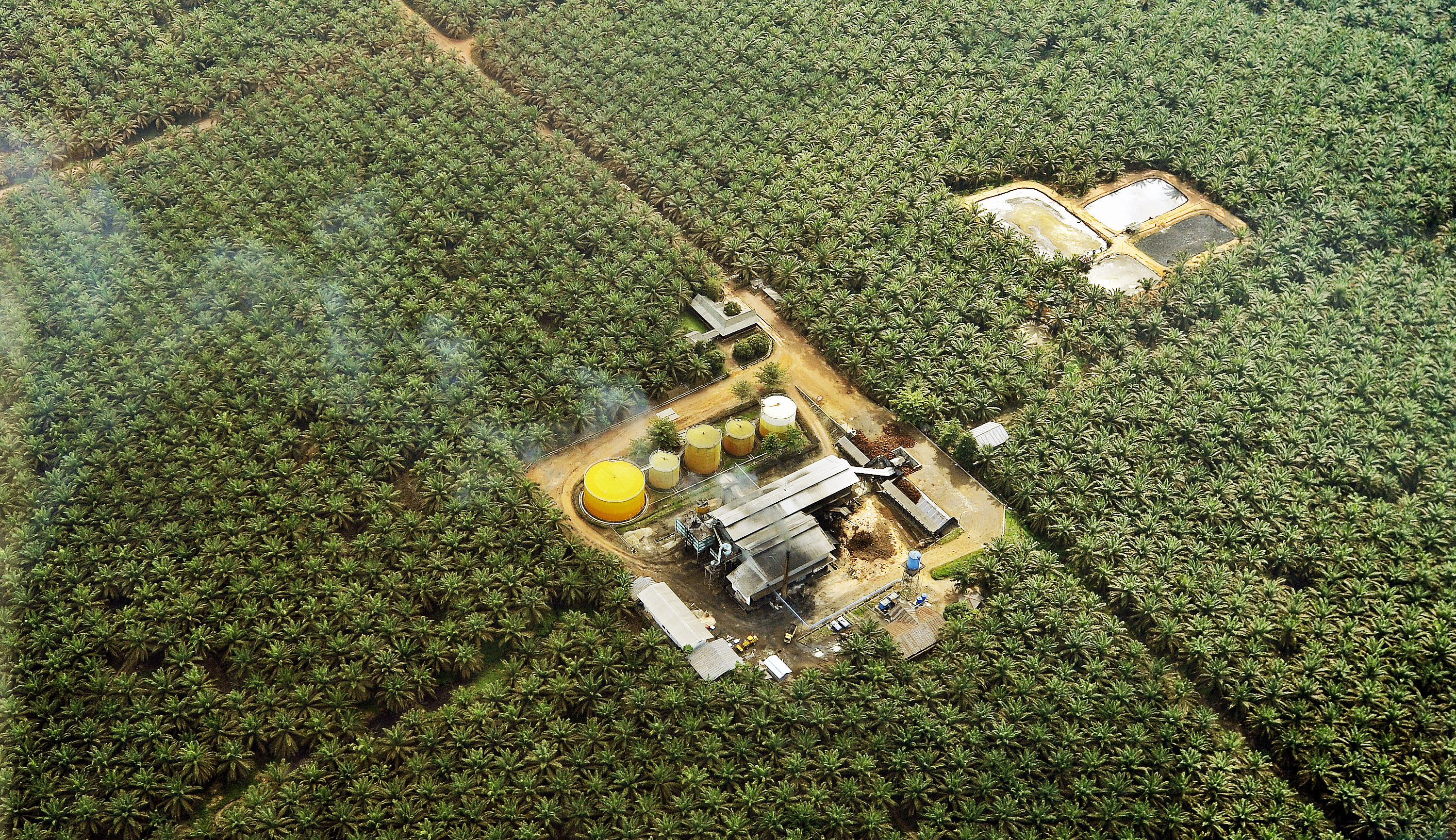 Perkebunan kelapa sawit difoto dari udara di wilayah Kabupaten Kotawaringin Timur, Kalimantan Selatan, Rabu (13/7)