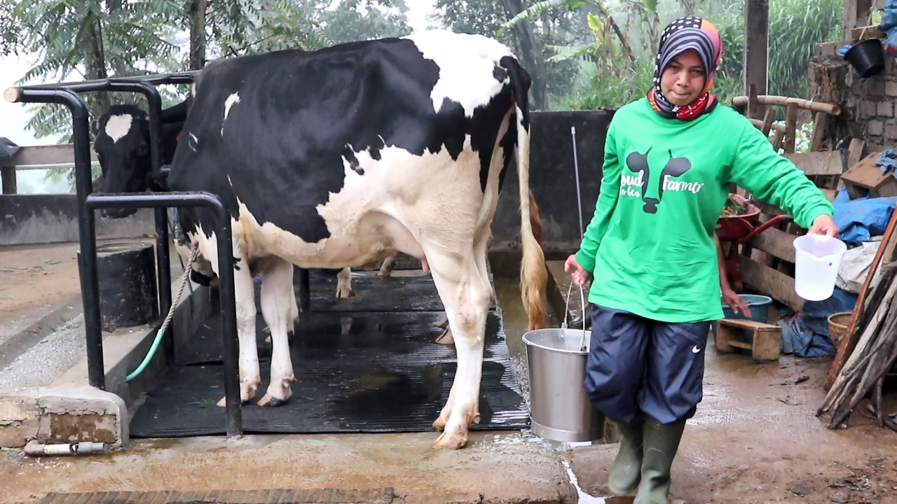 Nenih adalah gambaran Kartini masa kini. Satu dari 1.500 peternak perempuan yang jadi binaan DDP FFI.