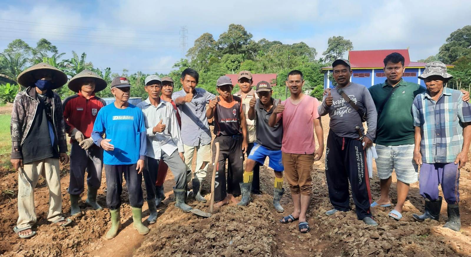 Para petani penggarap budi daya kedelai di Jembrana, Bali