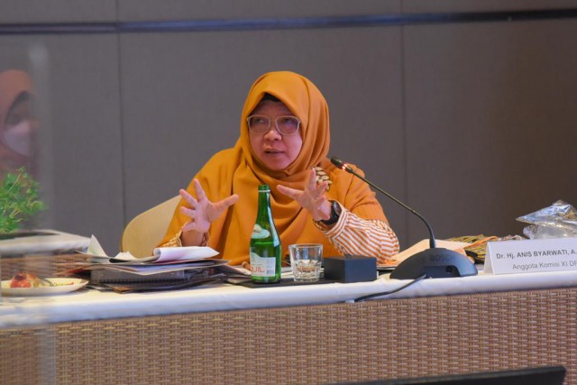 Wakil Ketua Badan Akuntabilitas Keuangan Negara (BAKN) DPR RI Anis Byarwati.
