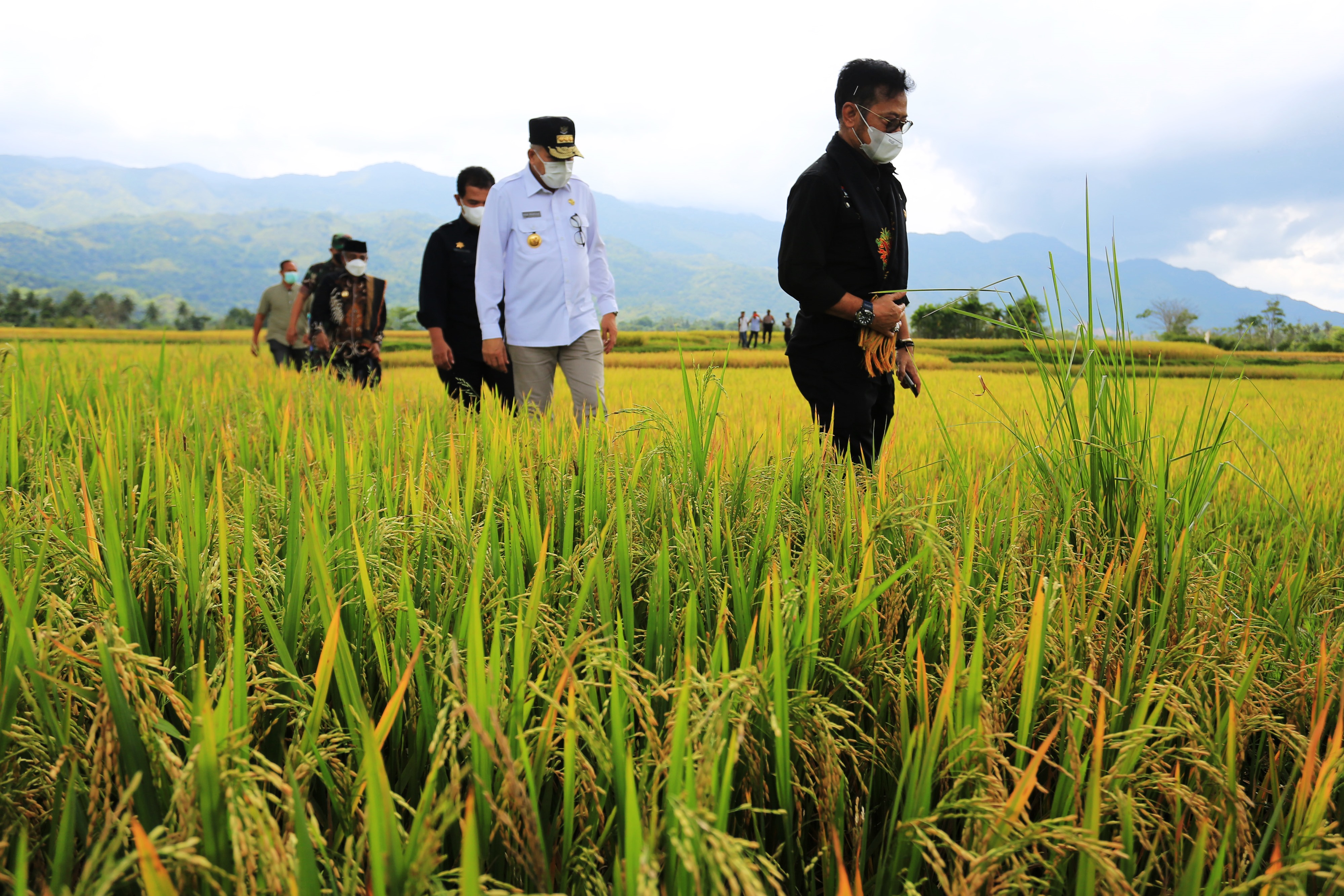 Mentan SYL di tengah sawah di Aceh.