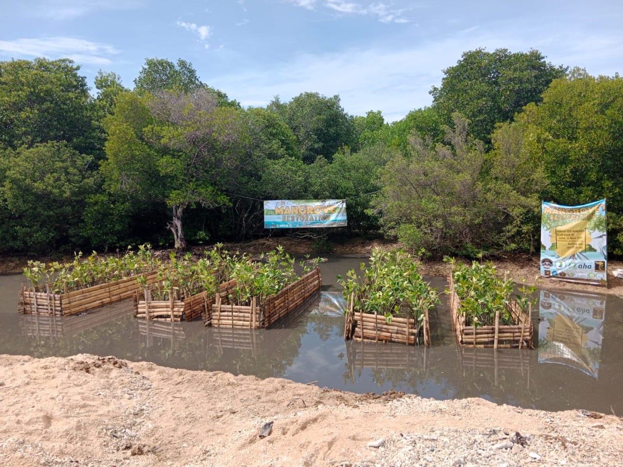 Token Ramah Lingkungan Karya Anak Bangsa Ajak Publik Cintai Bumi 