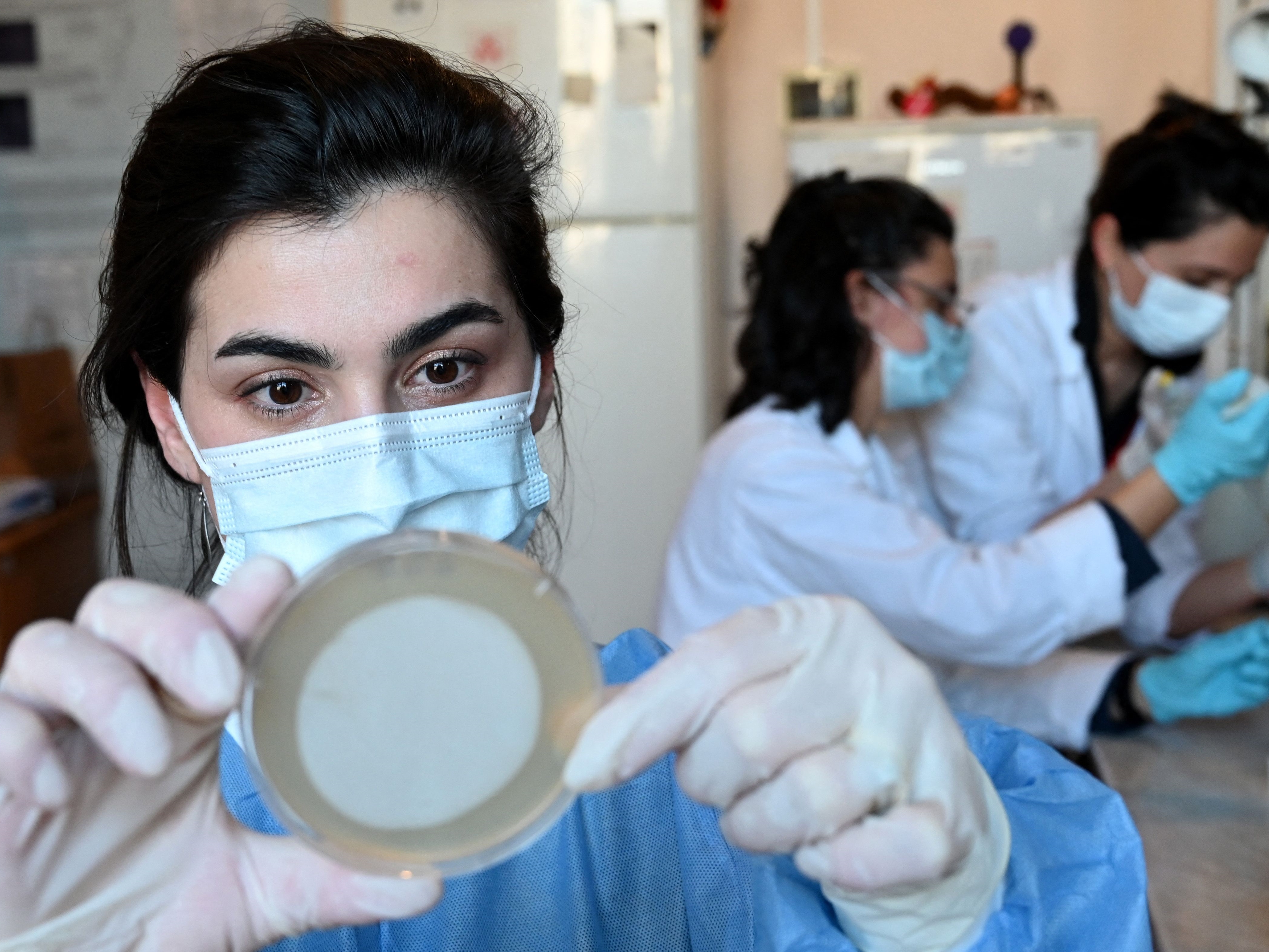 Para peneliti bekerja di laboratorium Institut Bakteriofag Eliava di Tbilisi pada 24 Februari 2022.