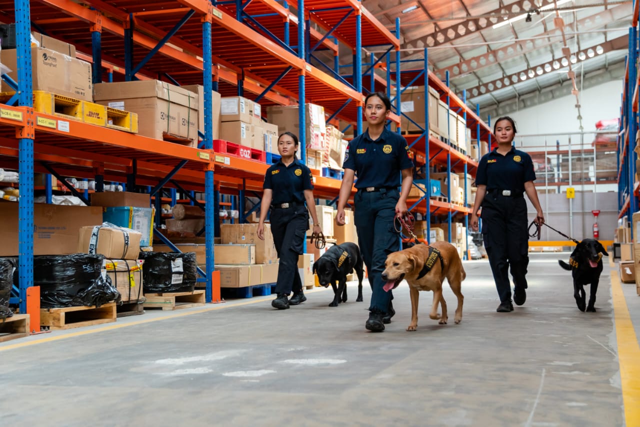 Tercatat pada tahun 2022, dari total 15 dog handler barudi Bea Cukai, tiga di antaranya adalah perempuan. 