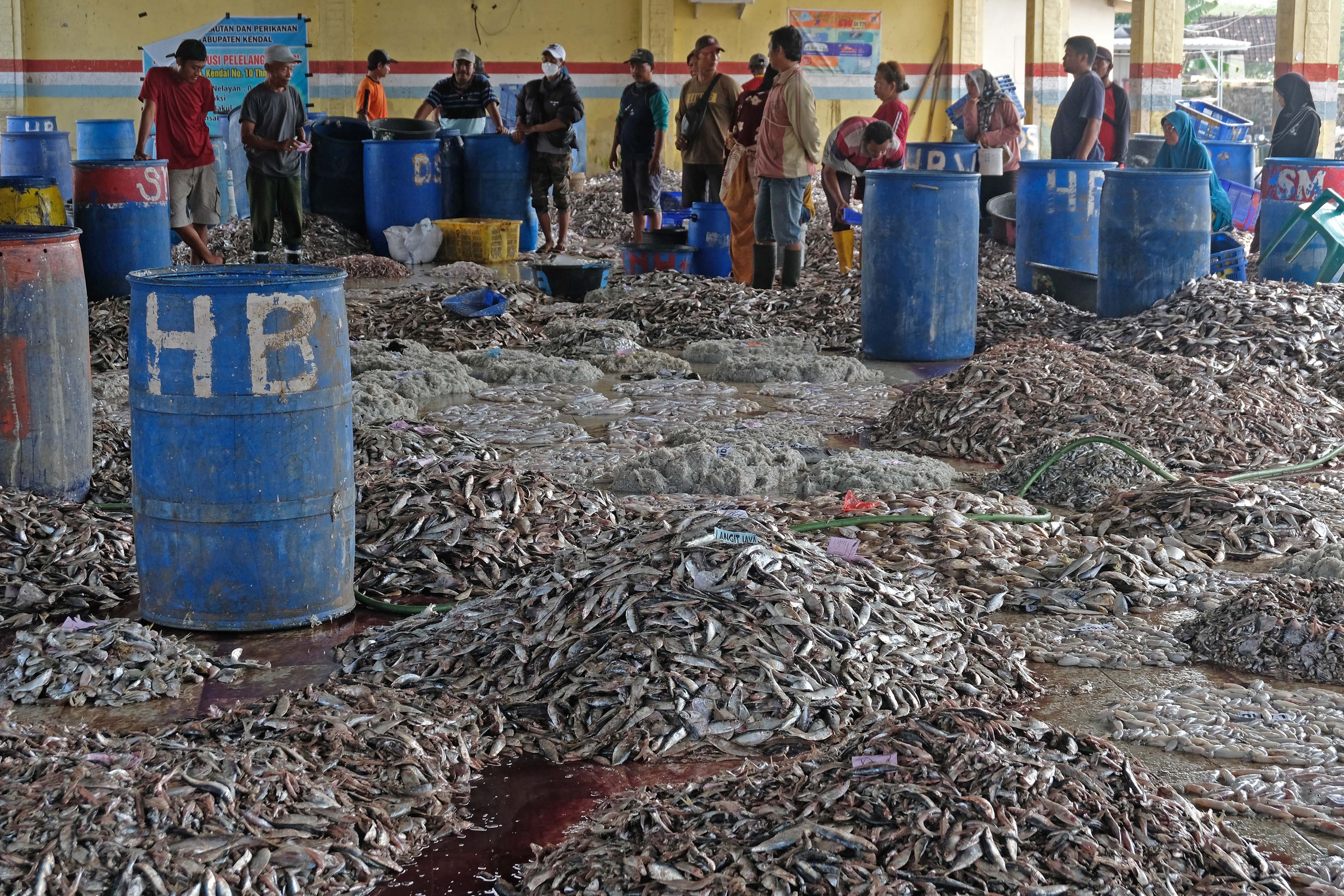 Pedagang dan nelayan bertransaksi ikan di tempat pelelangan wilayah Kendal, Jateng.