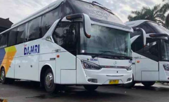 Perusahaan jasa transportasi, Damri.