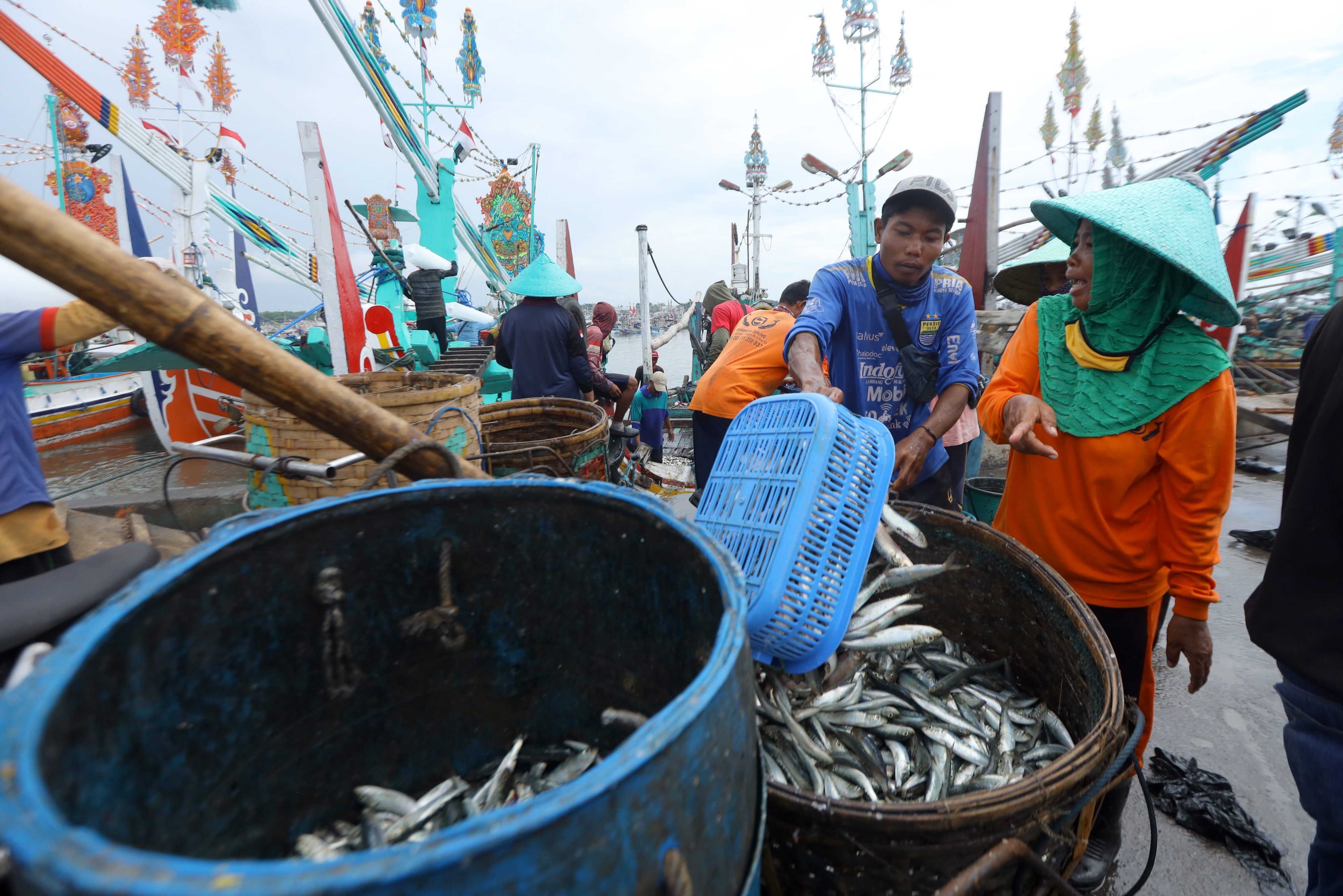 Pekerja mengumpulkan pasokan ikan lemuru hasil tangkapan nelayan di Banyuwangi.