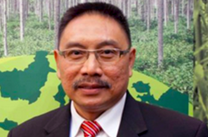 Direktur Jenderal Pengendalian Perubahan Iklim (PPI) Kementerian Lingkungan Hidup dan Kehutanan (KLHK) Ruandha Agung Sugardiman.