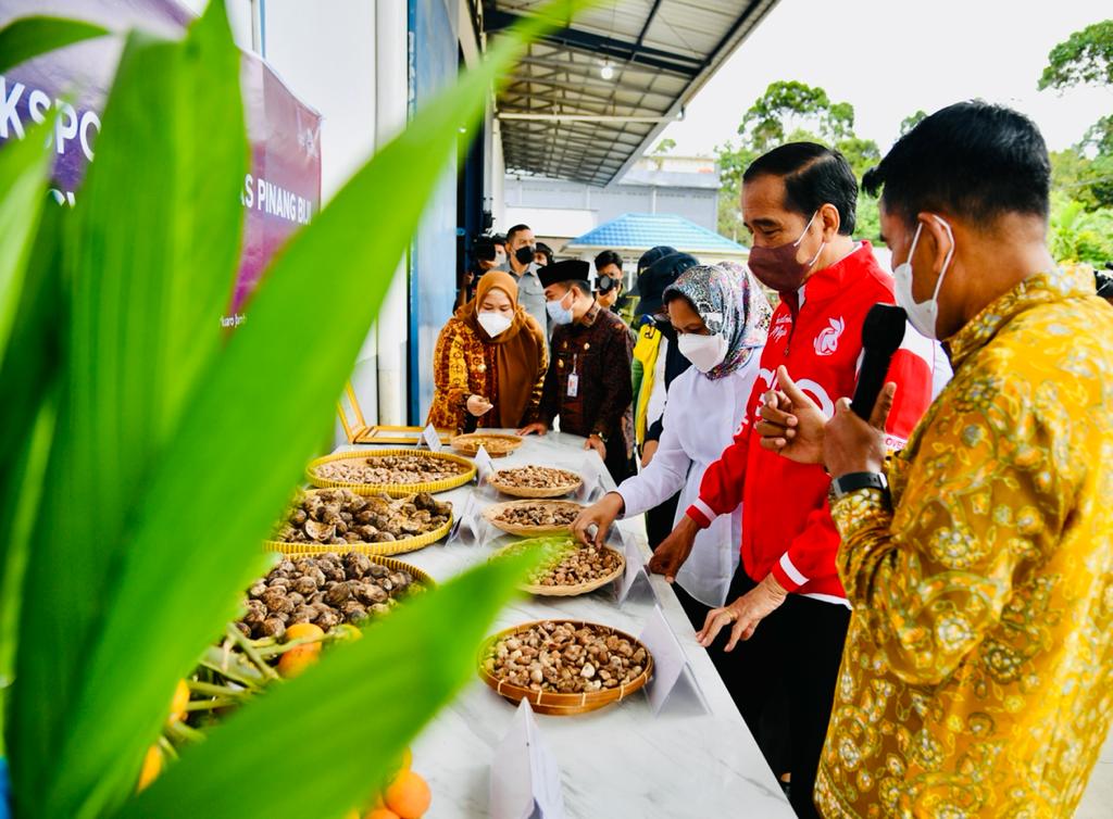 Presiden Jokowi saat melihat produk pinang yang diekspor.