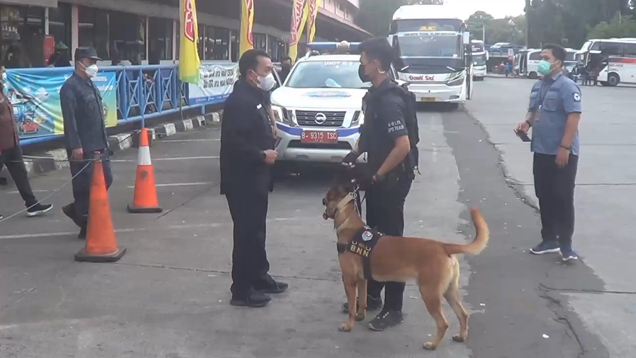 2 Anjing Pelacak BNN Cari Kurir Narkoba di Terminal Kampung Rambutan