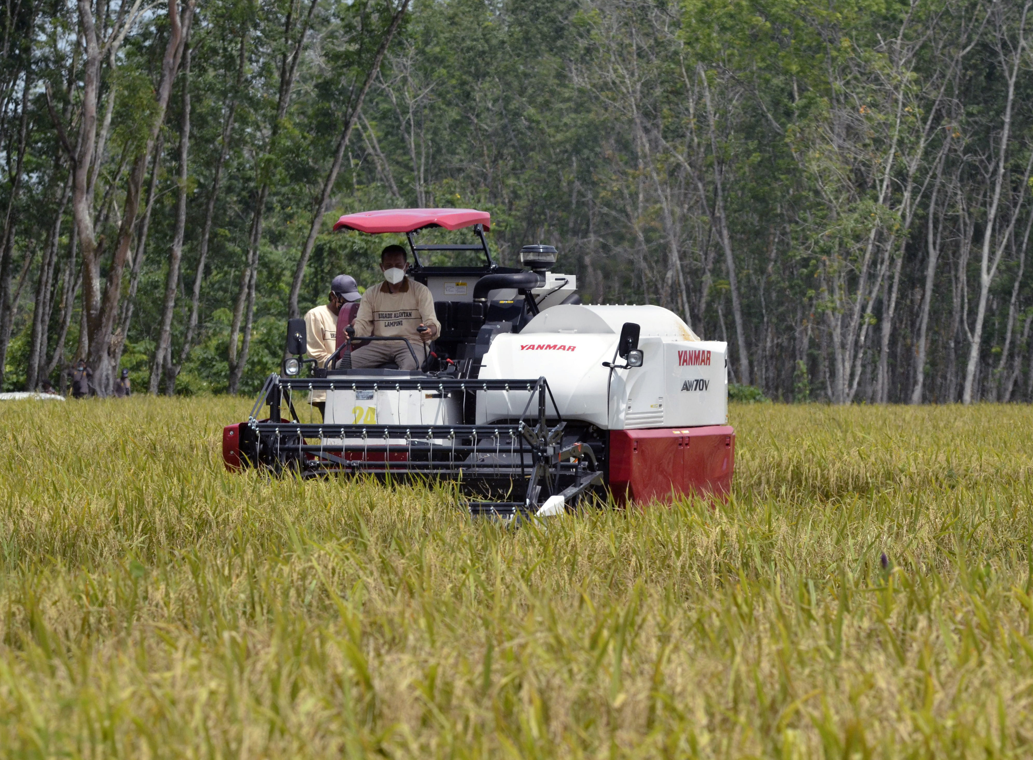 Petani mengoperasikan mesin pemotong padi saat panen perdana padi di Kabupaten Tulangbawang Barat, Lampung.