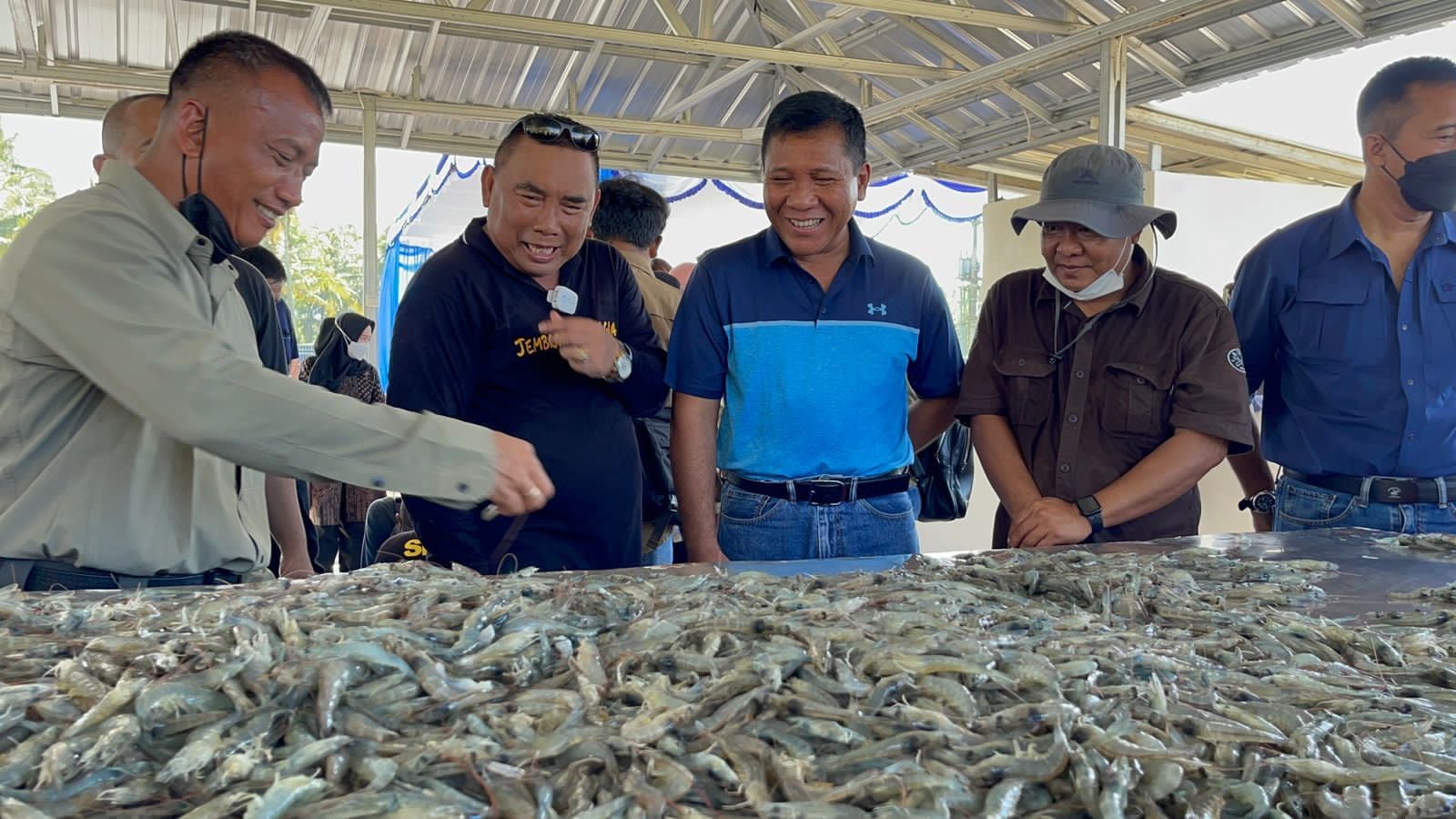 Wakasal Laksdya Ahmadi Heri Purwono (kiri) dan Bupati Jembrana Nengah Tamba panen perdana udang vaname program INAP di Jembrana, Sabtu (16/4