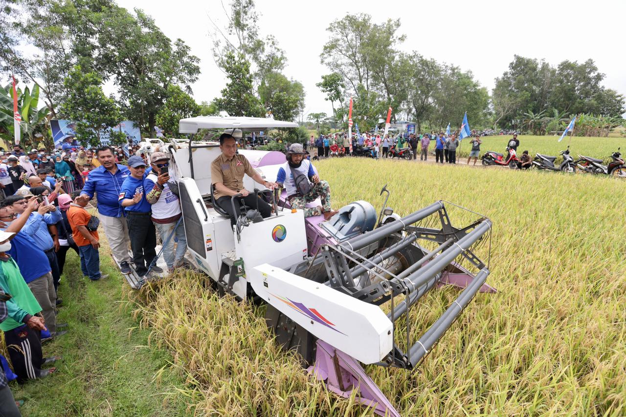 Saat melakukan kunjungan ke Desa Purwosari, Ponorogo, Jawa Timur. Ibas Edhie Baskoro Yudhoyono (Ibas) mencoba combine harvester.
