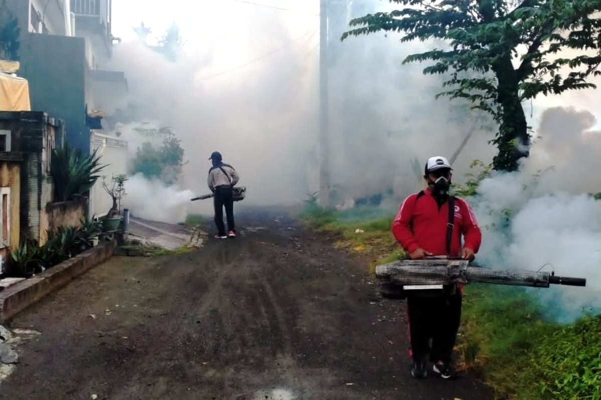 Pemkot Denpasar Gencarkan Fogging  Antisipasi DBD dan Cikungunya