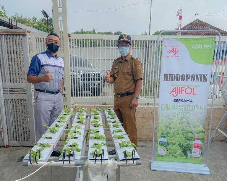 Produk samping dari hasil proses produksi MSG dan seasoning di pabrik Ajinomoto bisa dimanfaatkan untuk pupuk tanaman. 