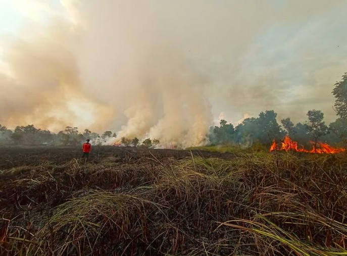 Petugas berupaya memadamkan karhutla di Desa Palem Raya, Indralaya Utara, Ogan Ilir, Sumsel.