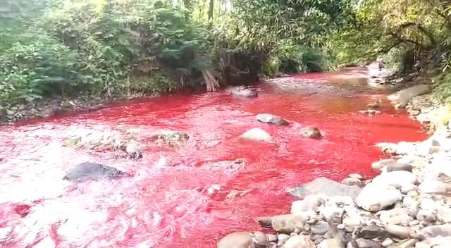 Kondisi Sungai Cimeta di Desa Tagogapu, Kecamatan Padalarang, Kabupaten Bandung Barat berubah warna menjadi merah