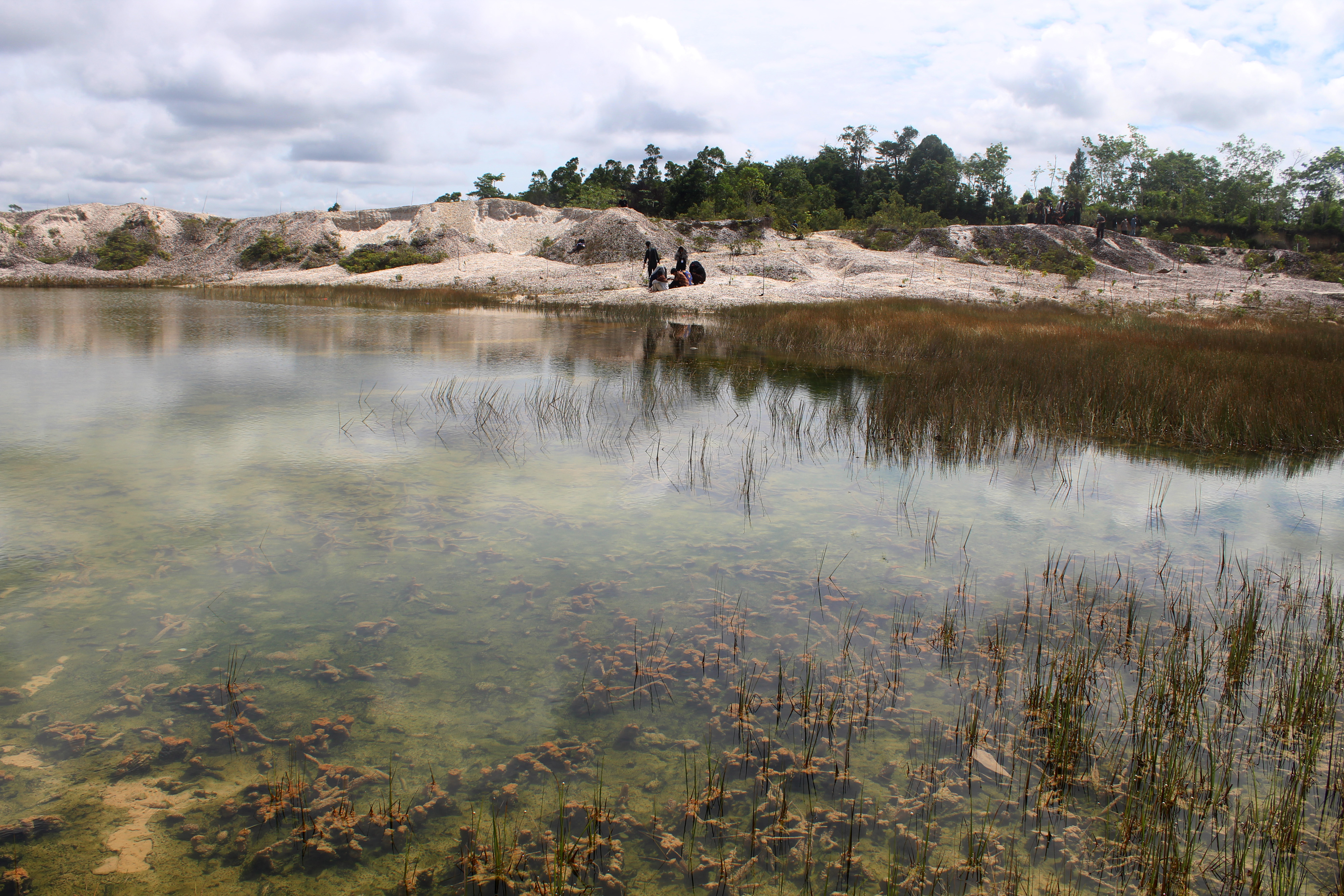 Lahan bekas galian tambang emas di Kalimantan Barat