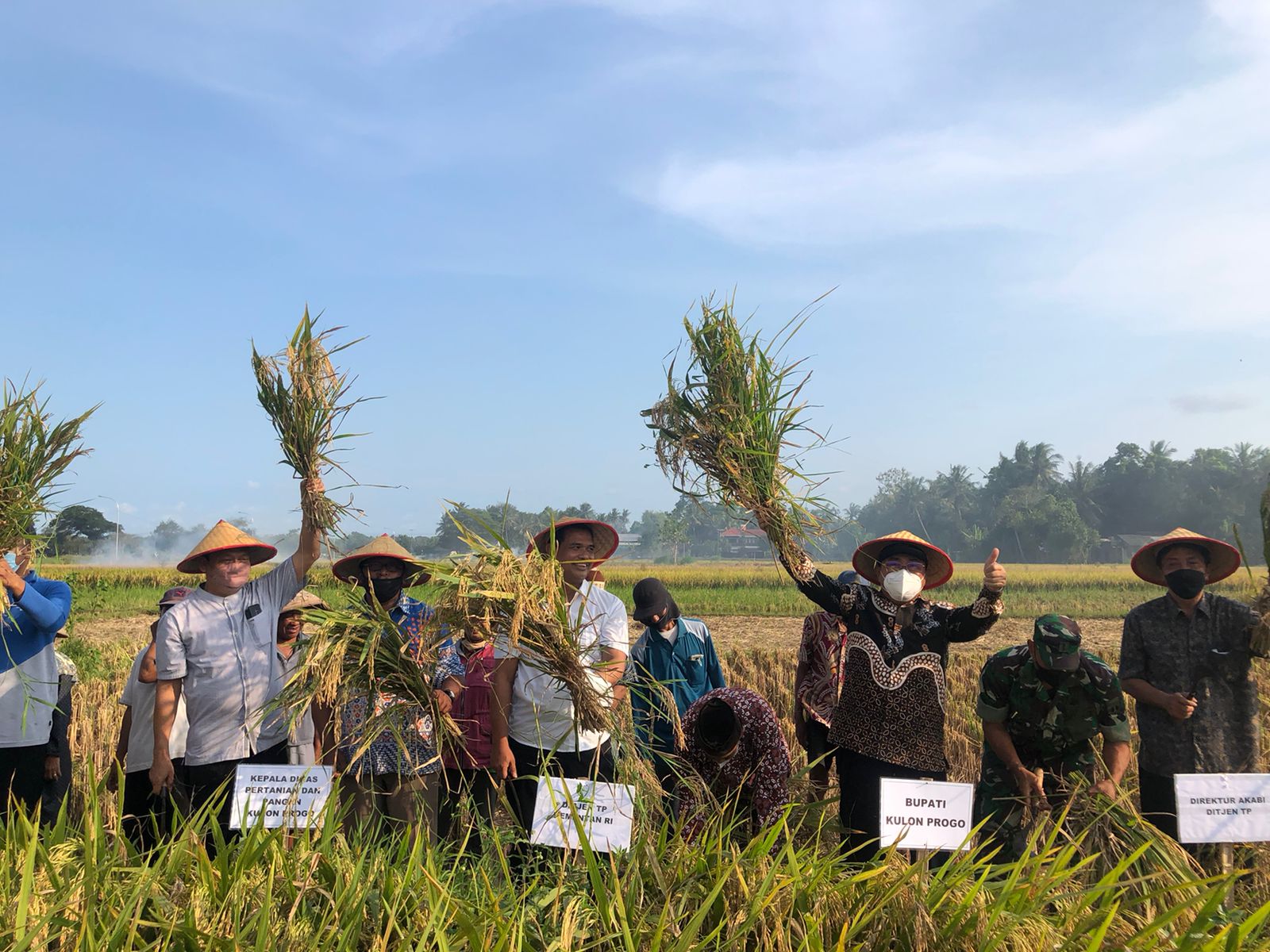  Kegiatan panen padi di Kabupaten Kulon Progo, Jawa Tengah.