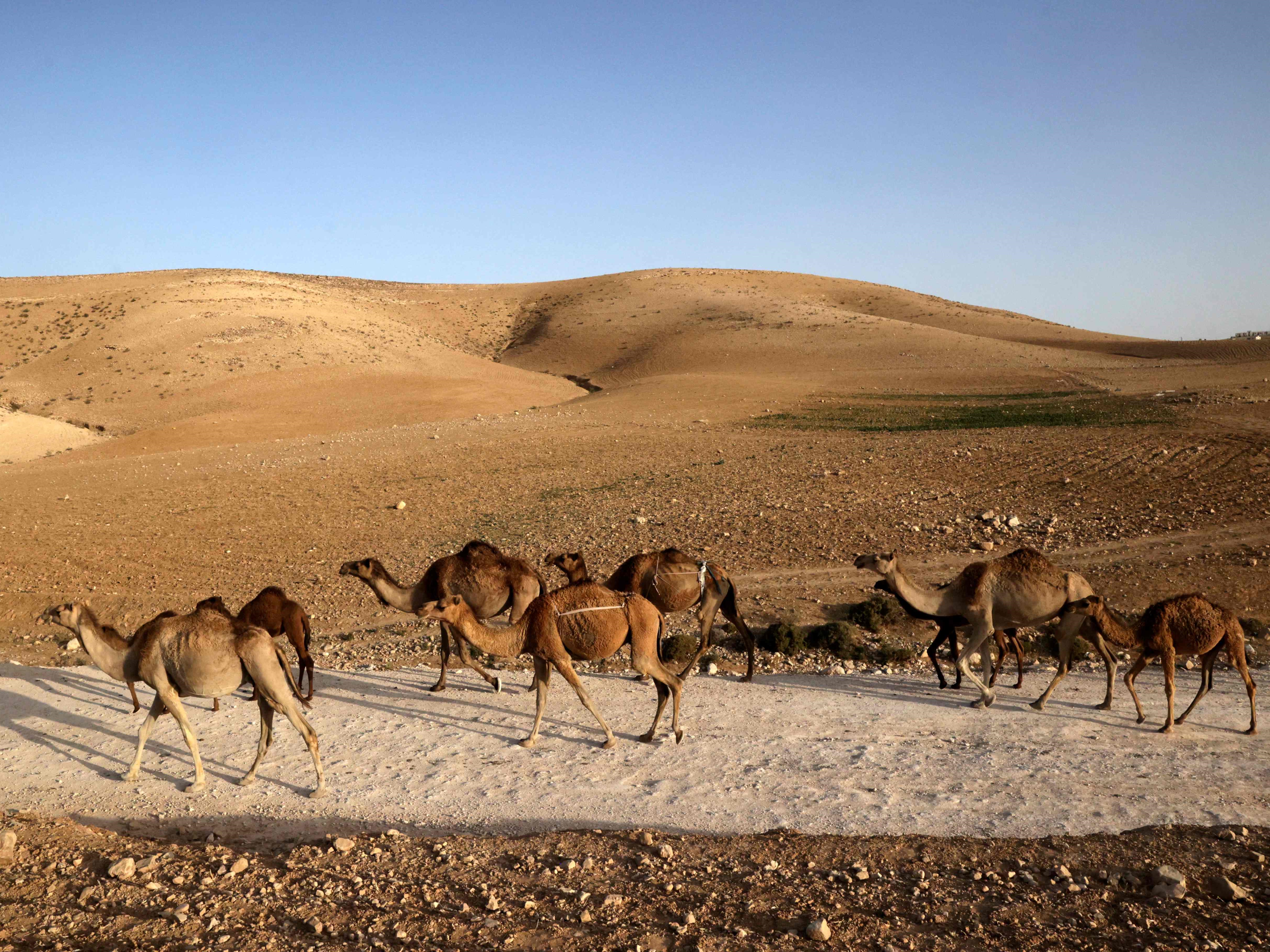 Wilayah dekat desa Palestina, Jinba, bagian dari daerah Masafer Yatta di Tepi Barat yang dijajah Israel, pada 9 Mei 2022.