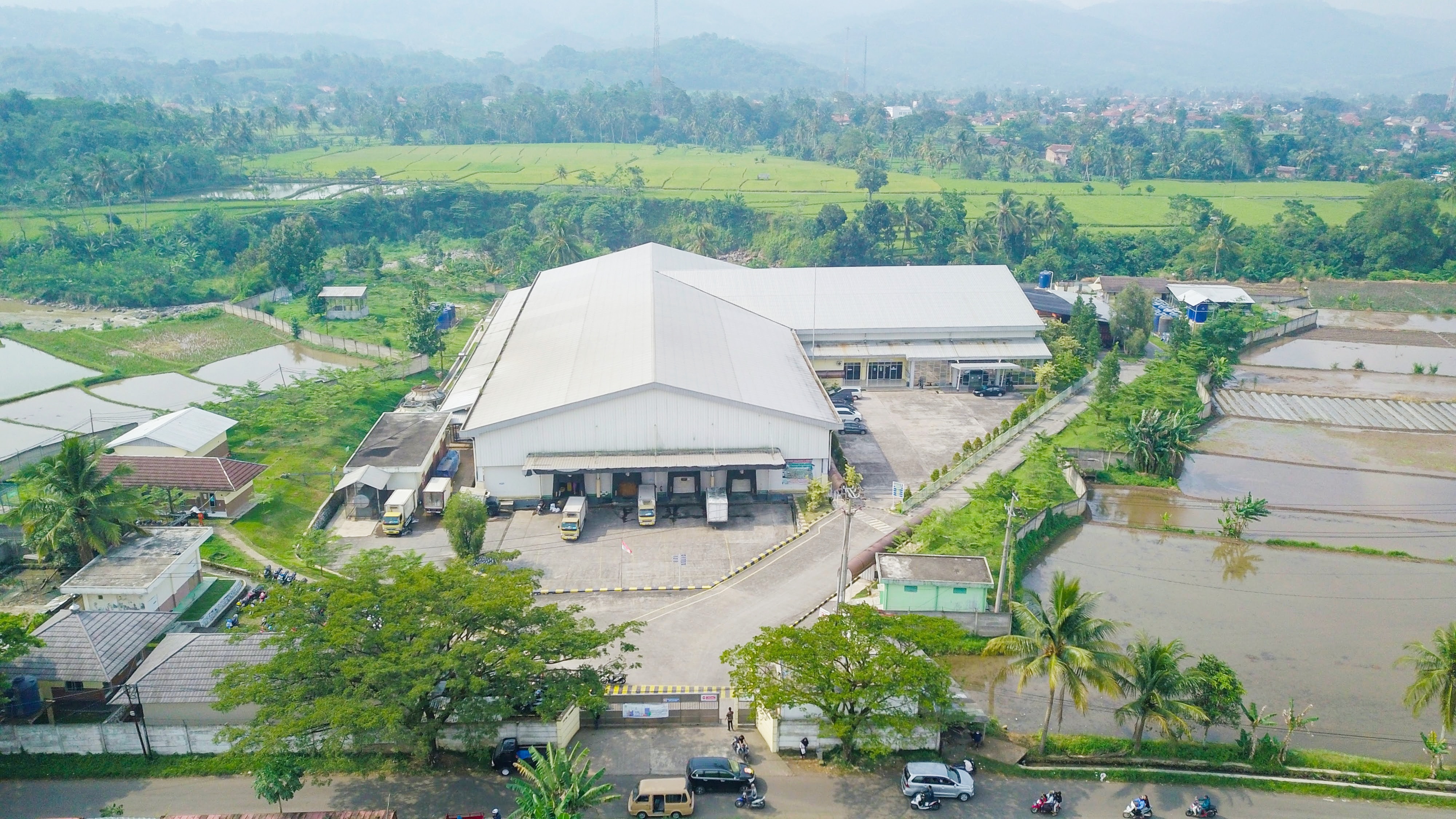 Peternakan ayam PT QL Trimitra di Cianjur