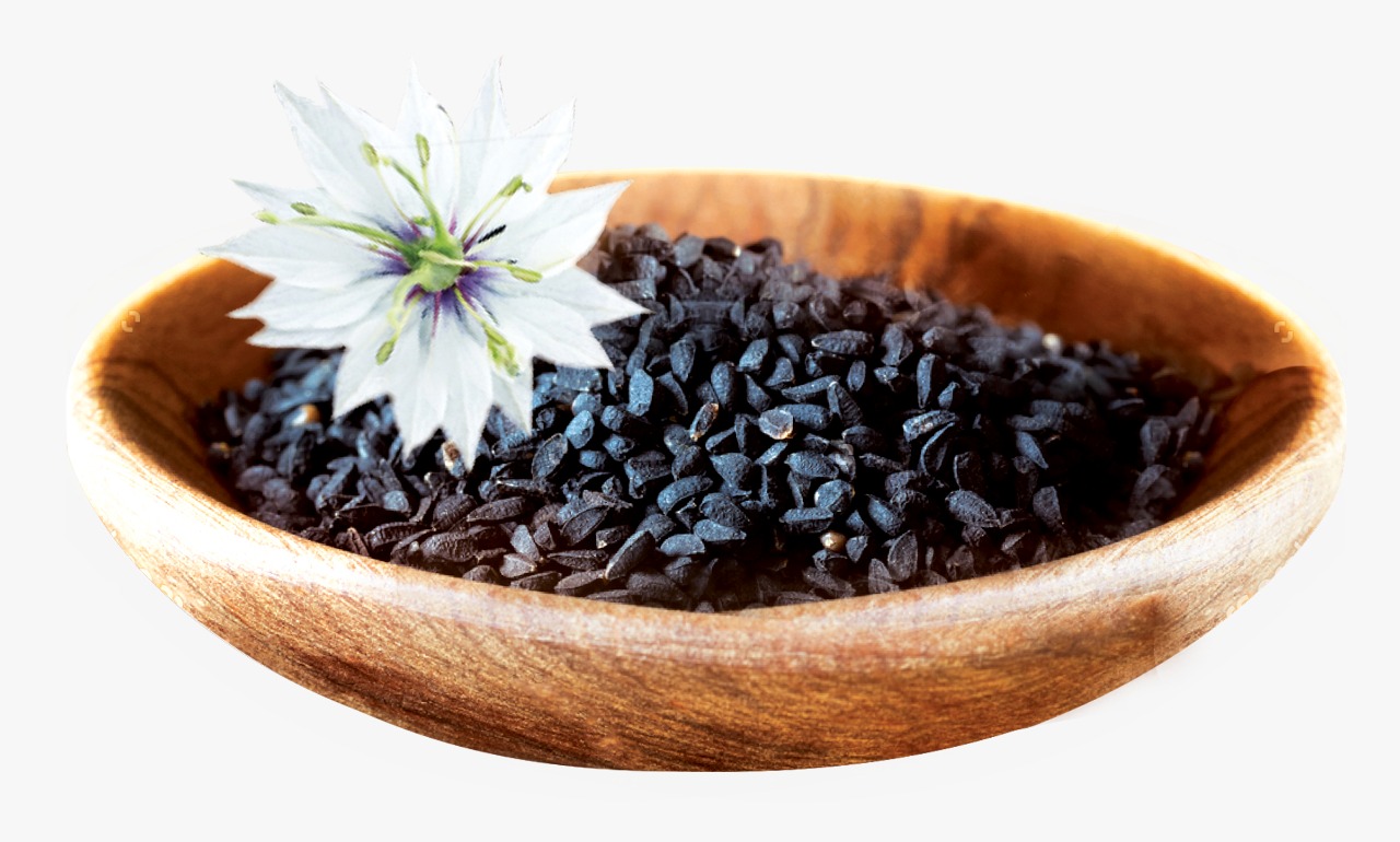 Ilustrasi. Obat herbal habbatusauda.