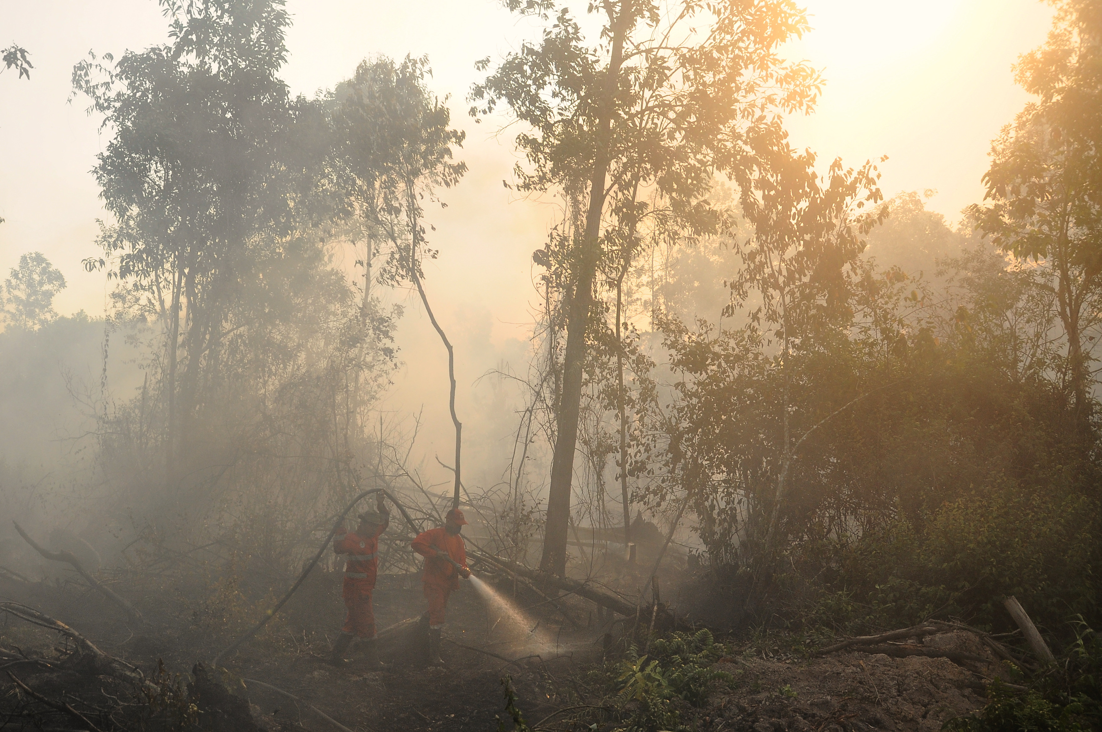 Petugas berusaha memadamkan kebakaran lahan di wilayah Sumatera Selatan.