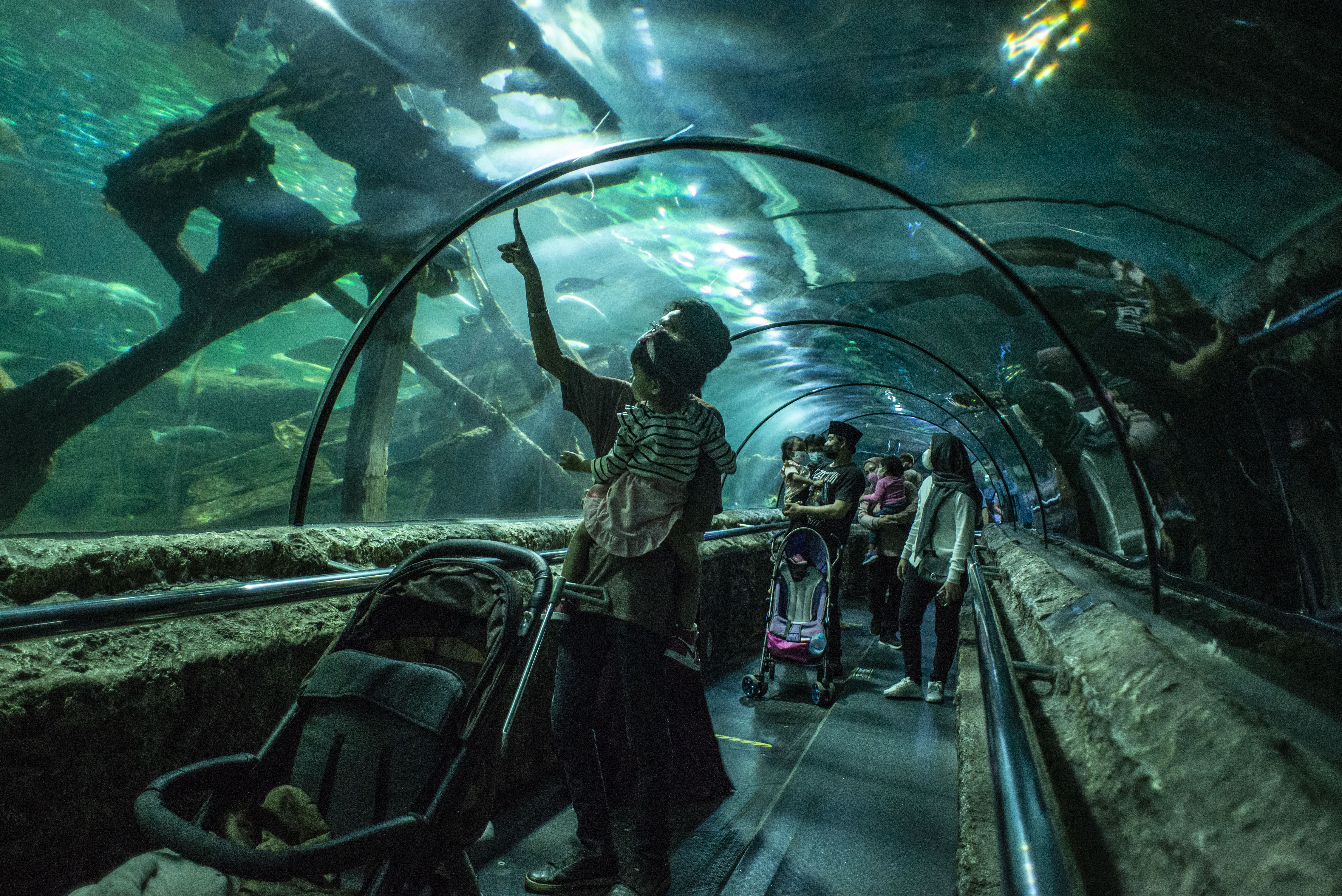 Wisatawan mengamati ikan di Sea World Ancol