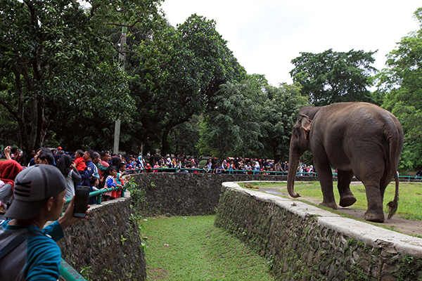 7.587 Orang Padati Ragunan Hari Ini