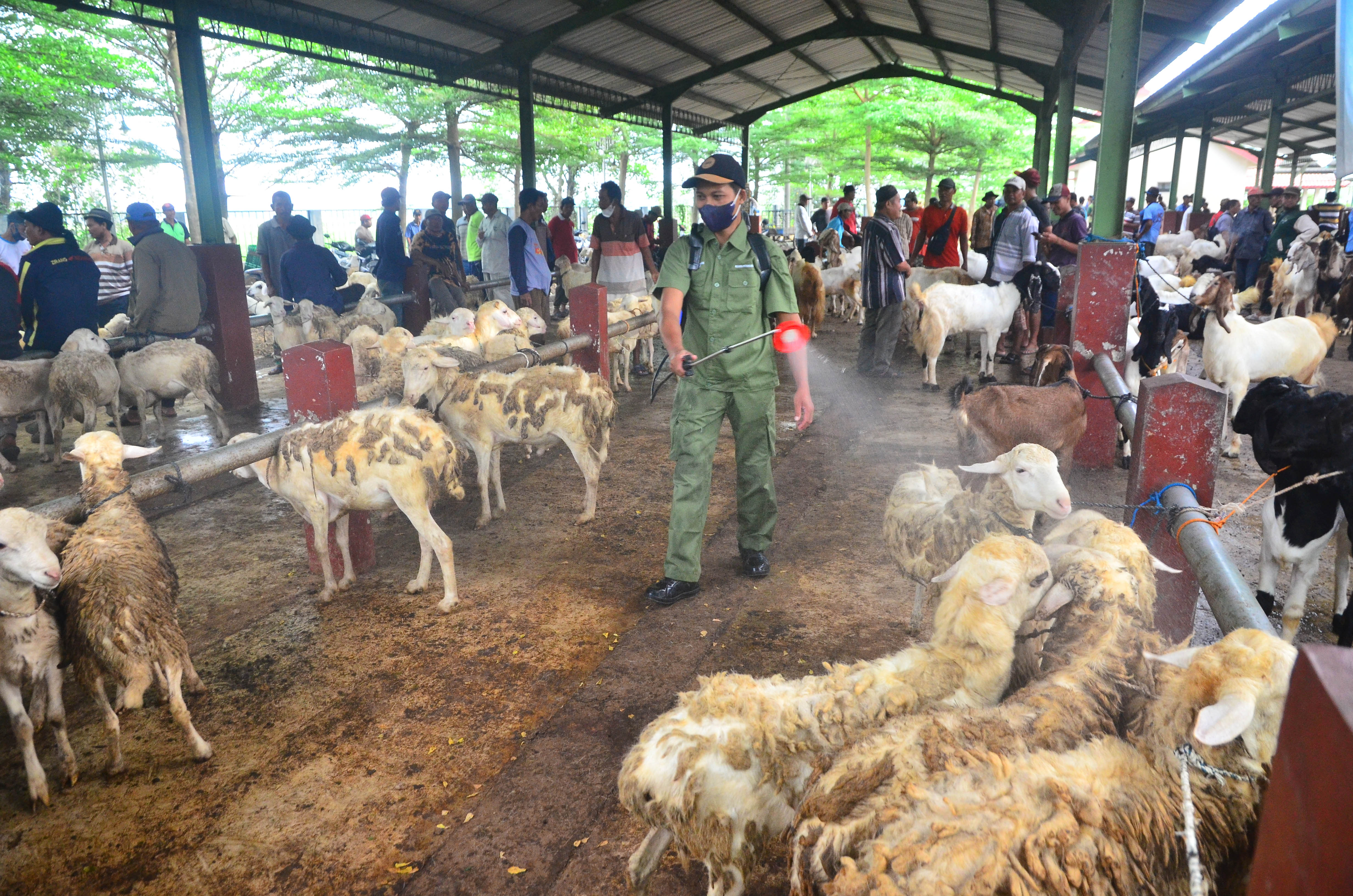 Petugas menyemprotkan cairan disinfektan di Pasar Hewan, Kudus, Jawa Tengah, Sabtu (14/5).