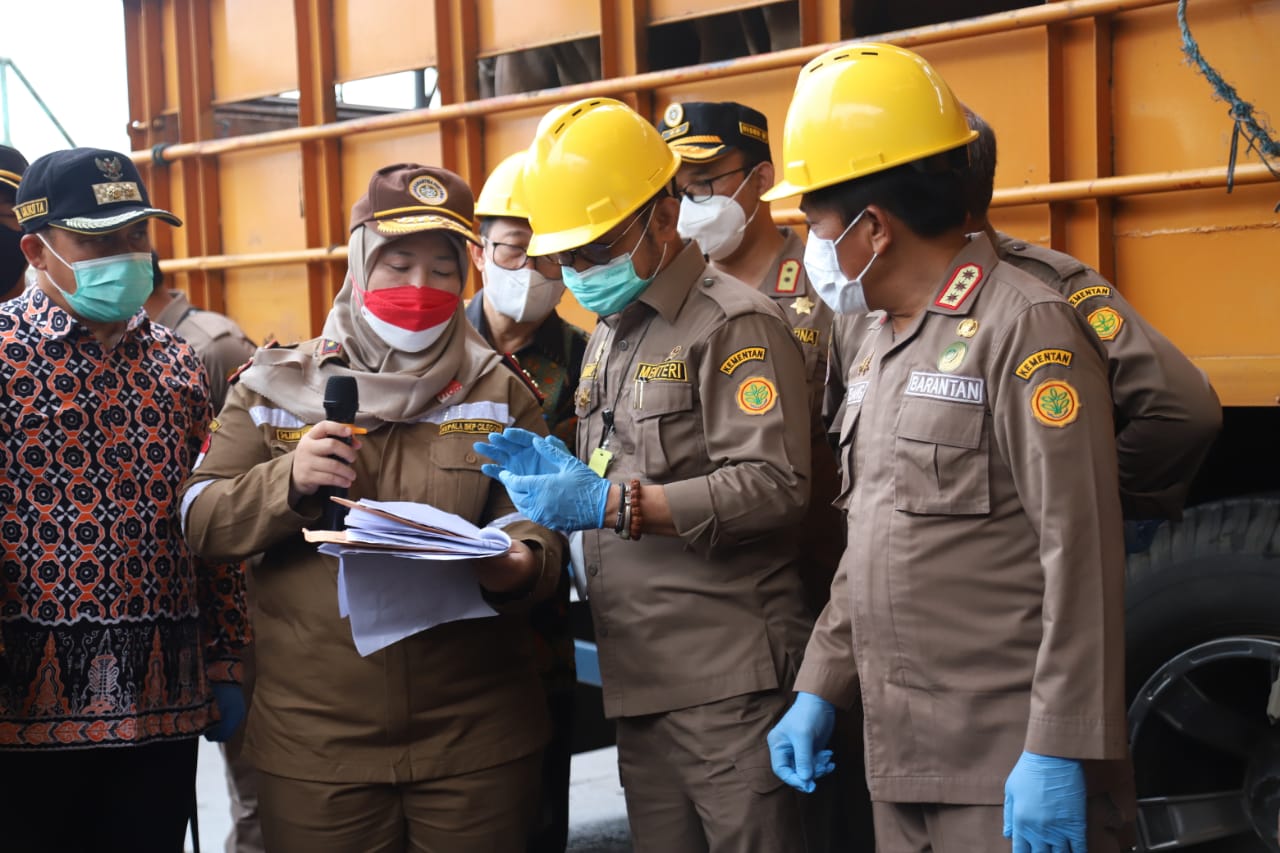 Mentan Syahrul Yasin Limpo mengecek langsung lalu lintas  sapi antararea di Pelabuhan Merak, Banten.  