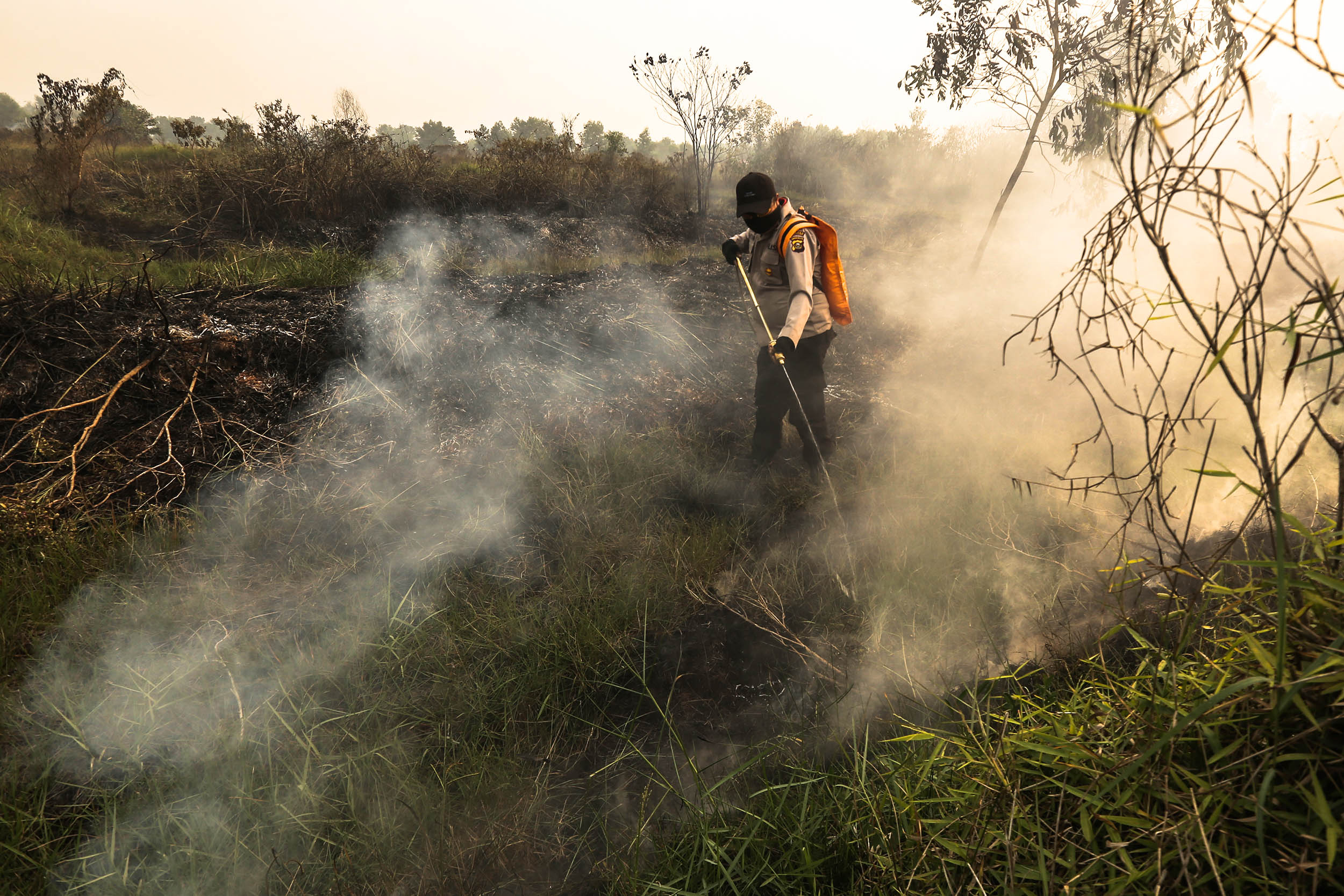 Petugas memadamkan kebakaran lahan di Desa Sungai Pinang, Banyuasin, Sumatera Selatan.