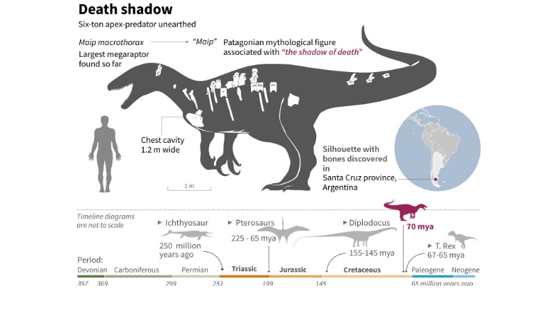 Ilustrasi Megaraptor.