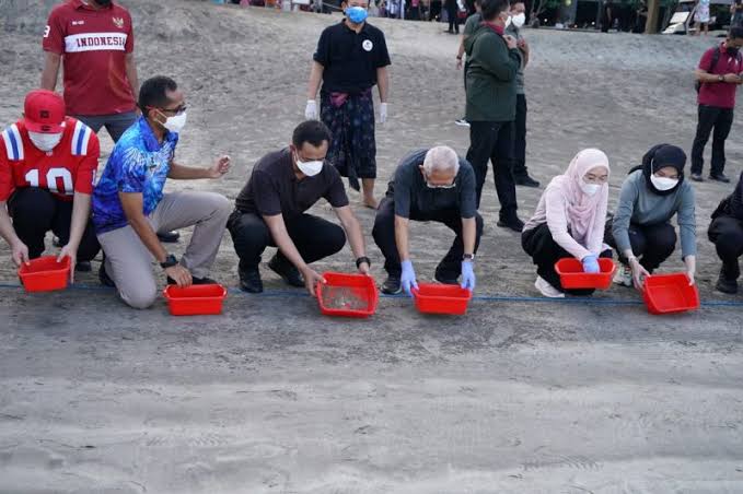 Wapres Ma'ruf Amin melepas tukik di Pantai Kuta, Bali