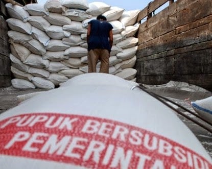 Pupuk bersubsidi sering dipermainkan mafia pupuk sehingga menimbulkan kelangkaan yang merugikan petani