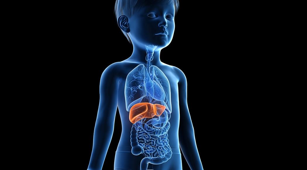 Ilustrasi. Penyakit hepatitis akut menyerang anak di bawah usia 16 tahun. 