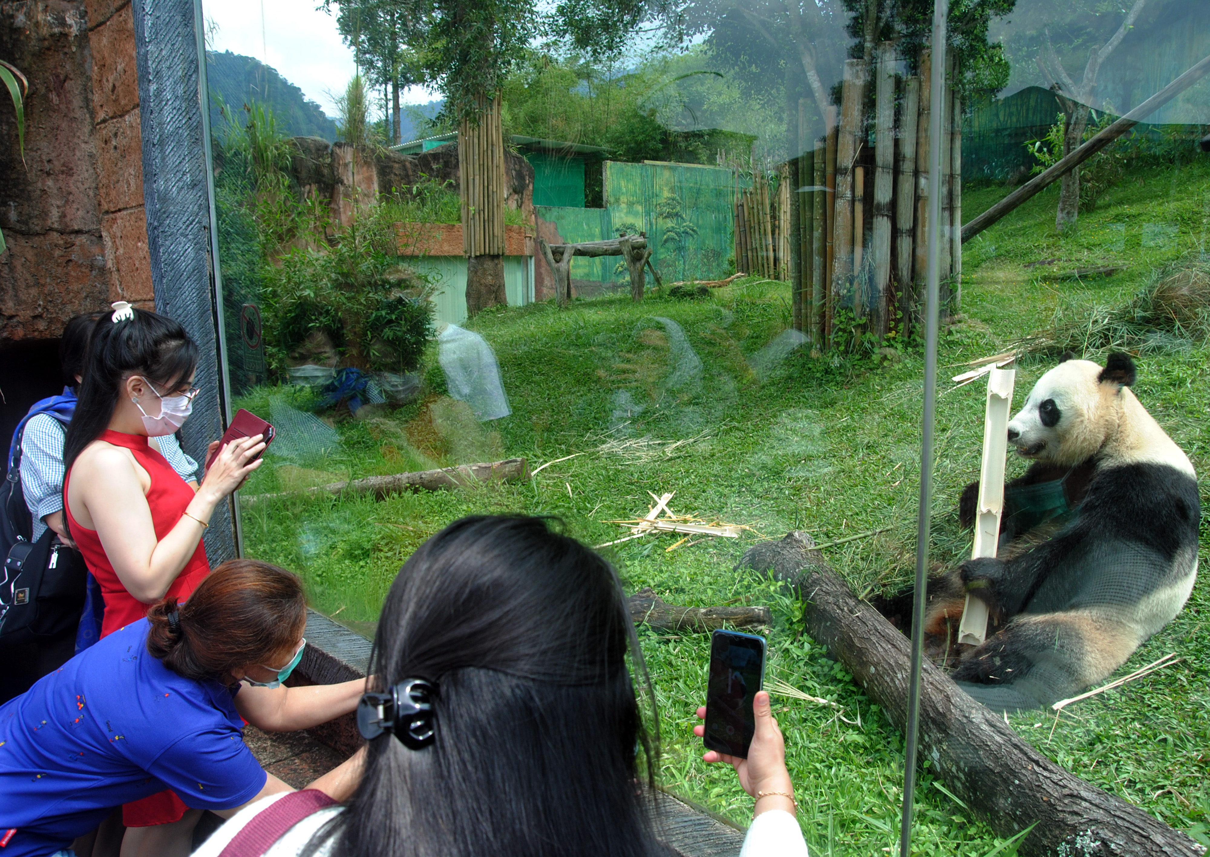 Ingin Liburan ke Taman Safari? Anda Diminta Beli Tiket Secara Daring