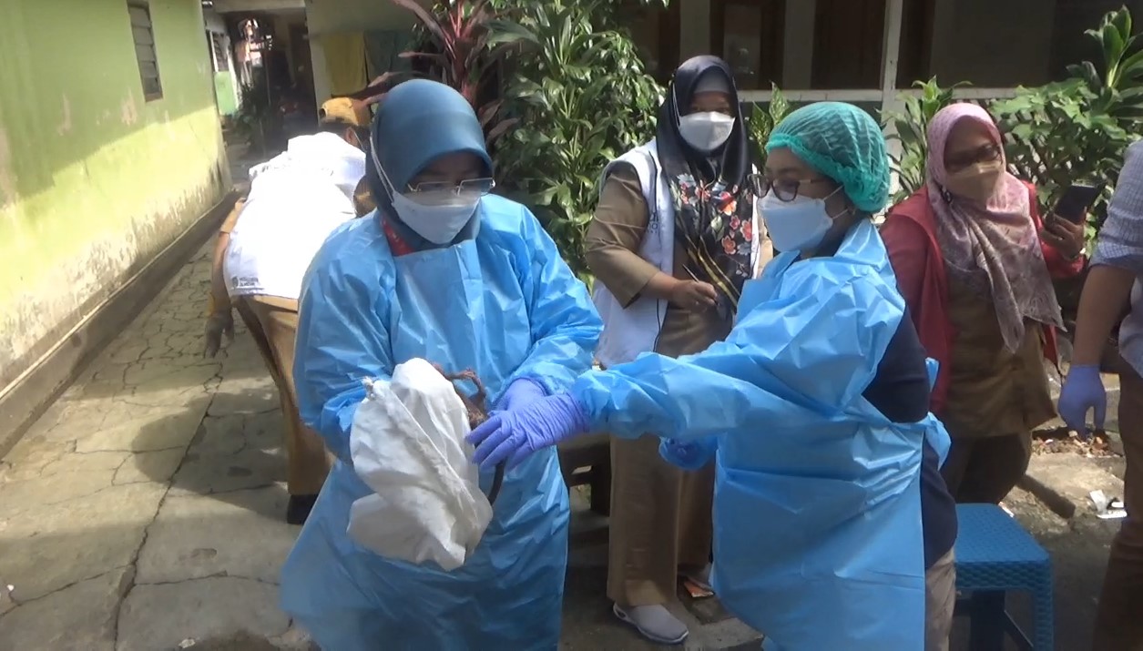 Warga Cilandak Demam Tinggi Diduga akibat Tertular dari Tikus 