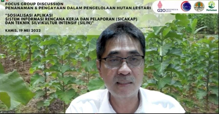 Menuju Indonesia's FoLU Net Sink 2030 Melalui Pengelolaan Hutan Lestari
