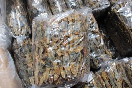 Cicak kering dari Sumbar diekspor perdana ke Hongkong sebanyak 330 Kg dengan nilai sekitar Rp900 juta.