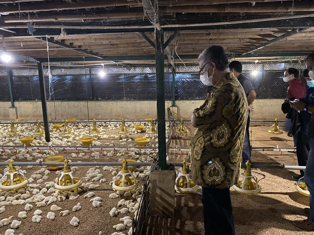 Kunjungan ke peternakan ayam. 