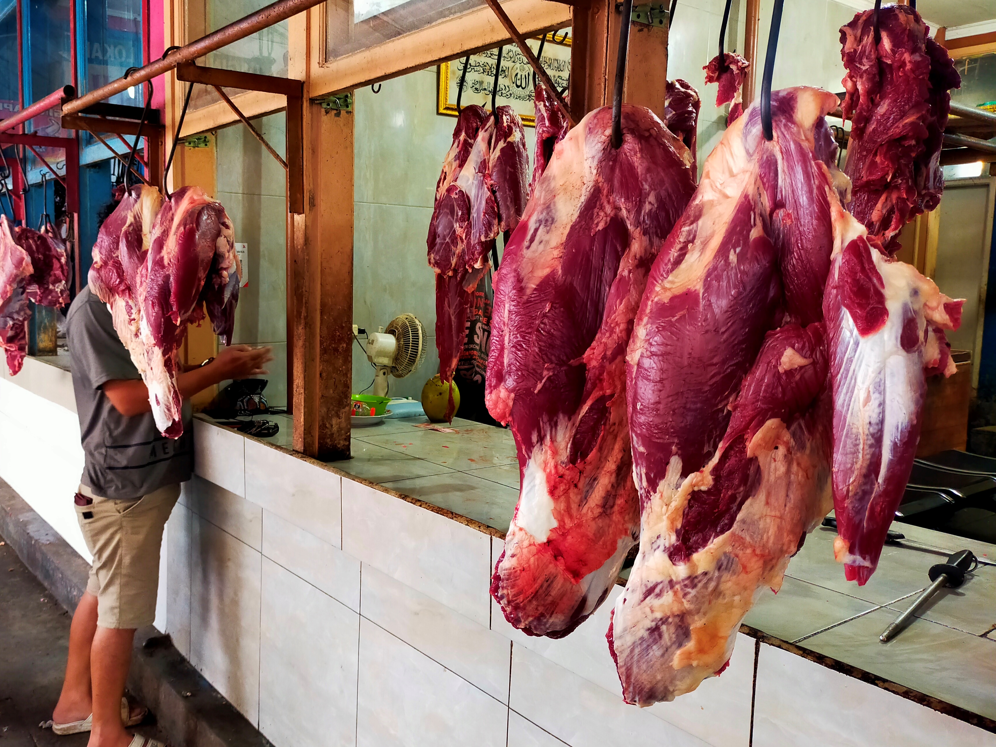 Ilustrasi daging sapi. 