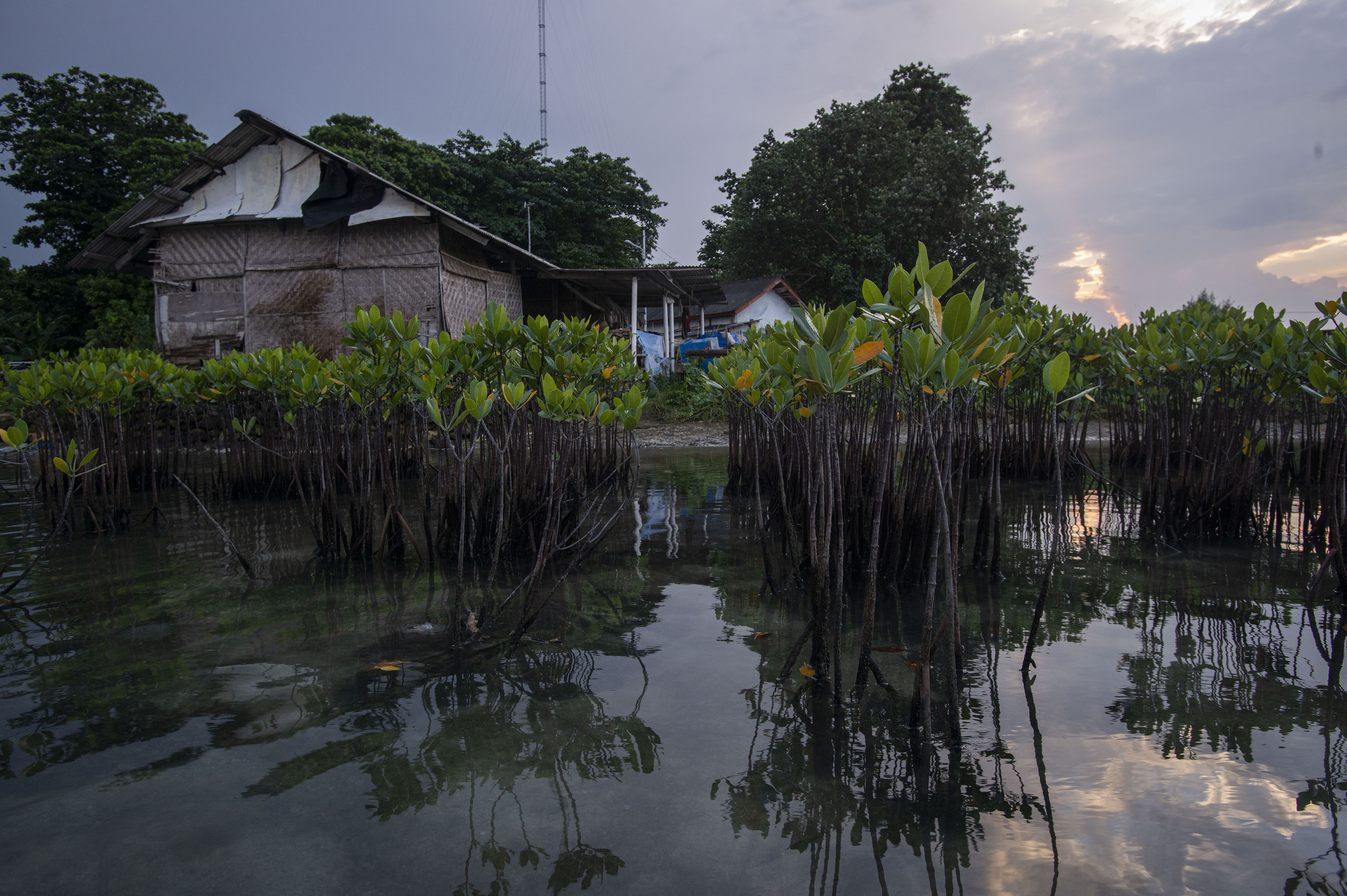Gaet para Digital Nomad, Dinas Parwisata: Pulau Bidadari Jadi Pilot Project