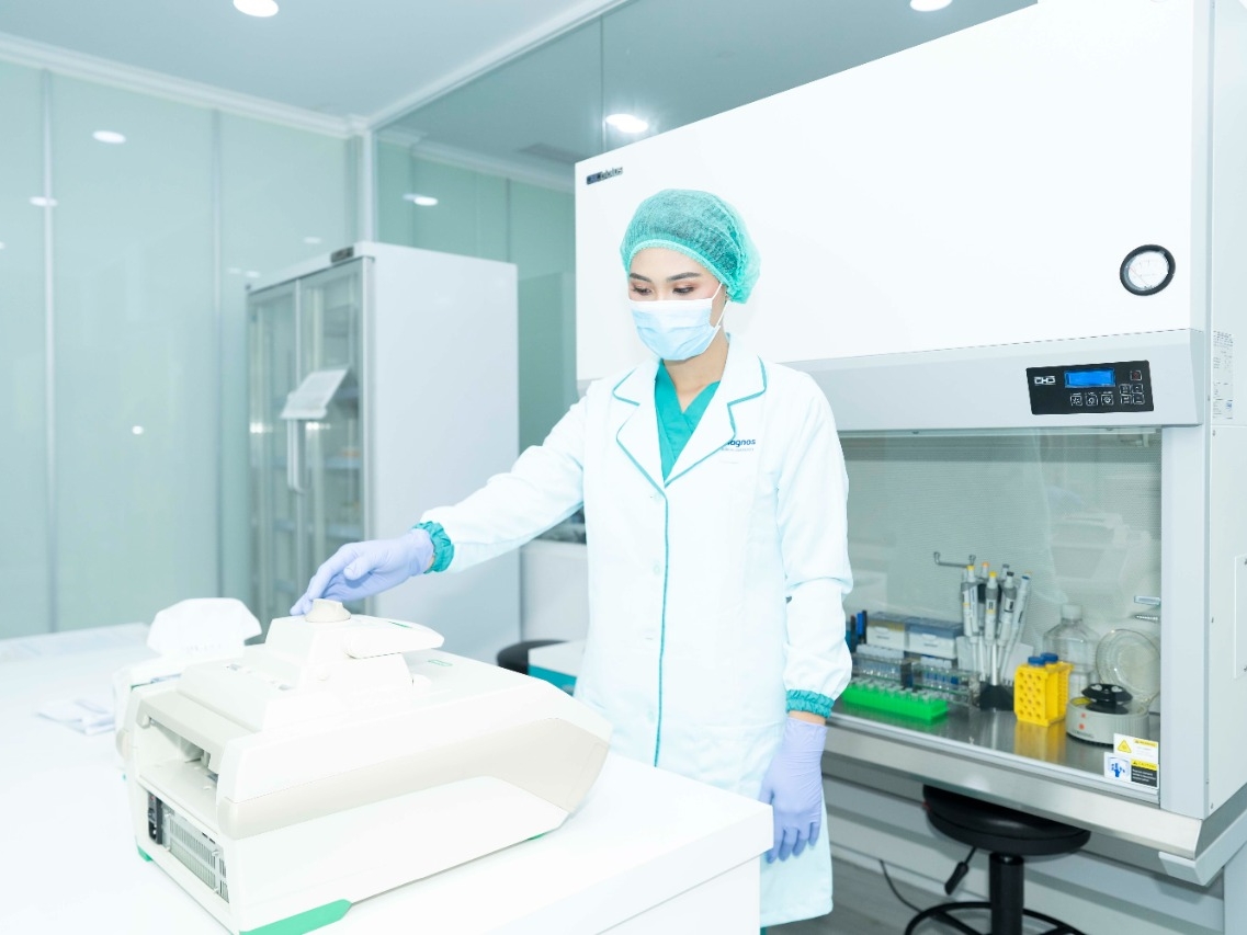 Laba DGNS Tumbuh 663% pada Kuartal I