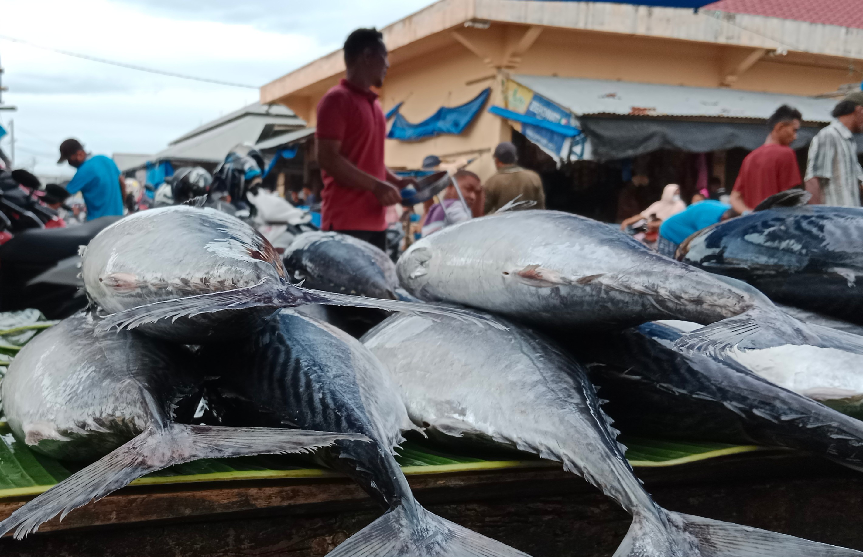 Aktivitas pedagang ikan di Pasar Pante Teungoh, Kota Sigli, Ibukota Kabupaten Pidie, Sabtu (7/5).