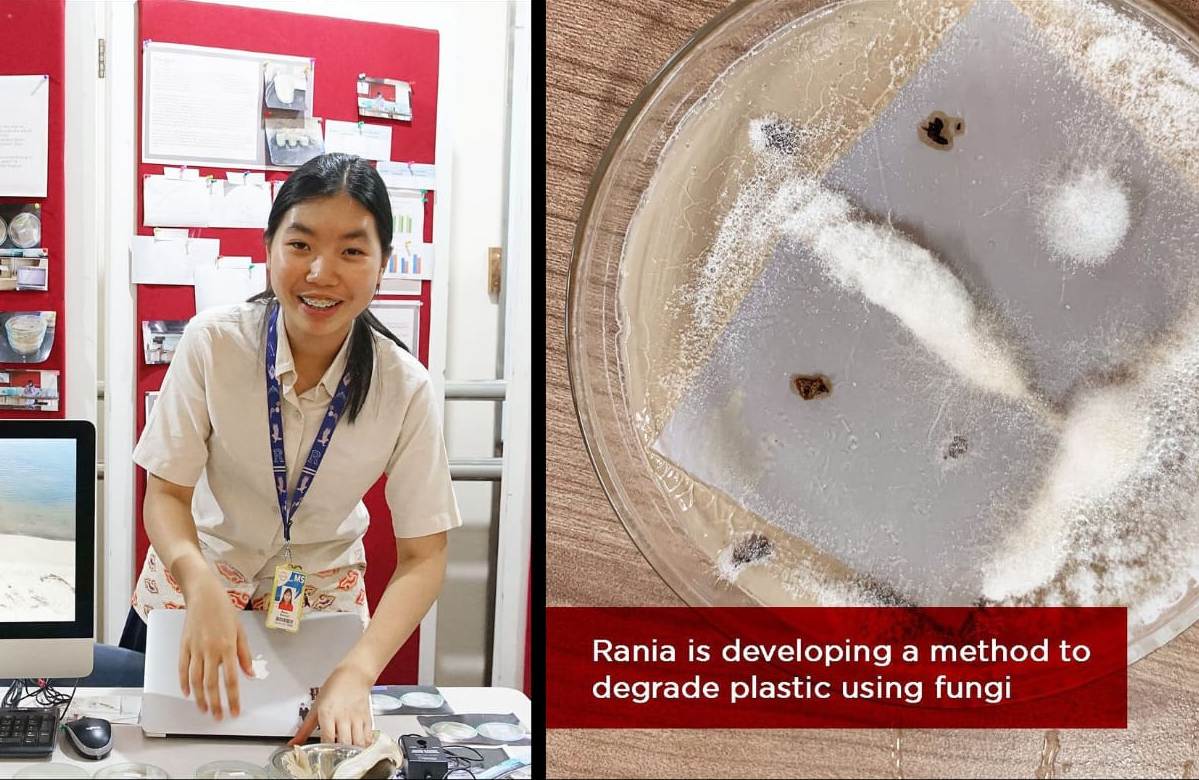  Rania Wanandi melakukan riset mengenai bagaimana salah satu jenis jamur bisa mengurai plastik.