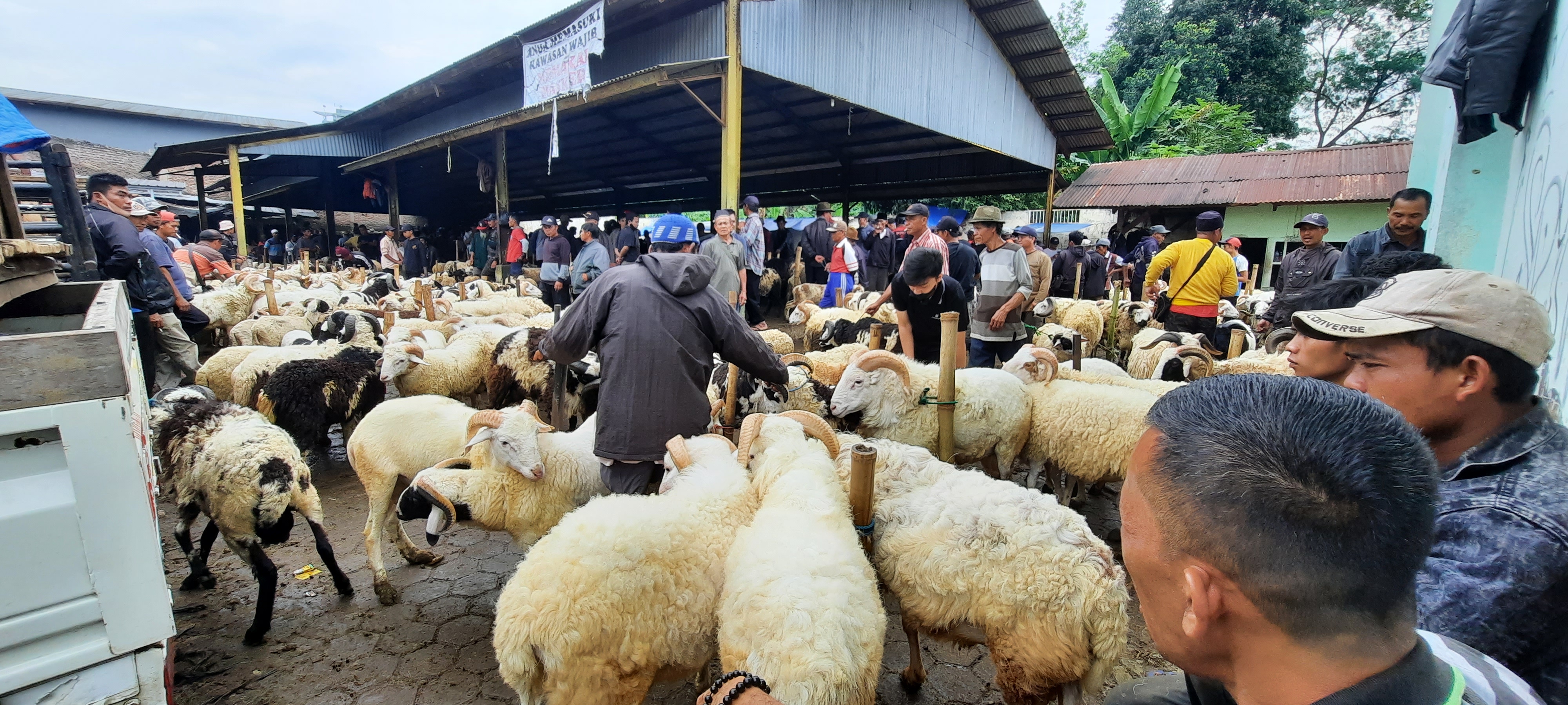 Aktivitas perdagangan hewan ternak masih berlangsung ramai di Cianjur