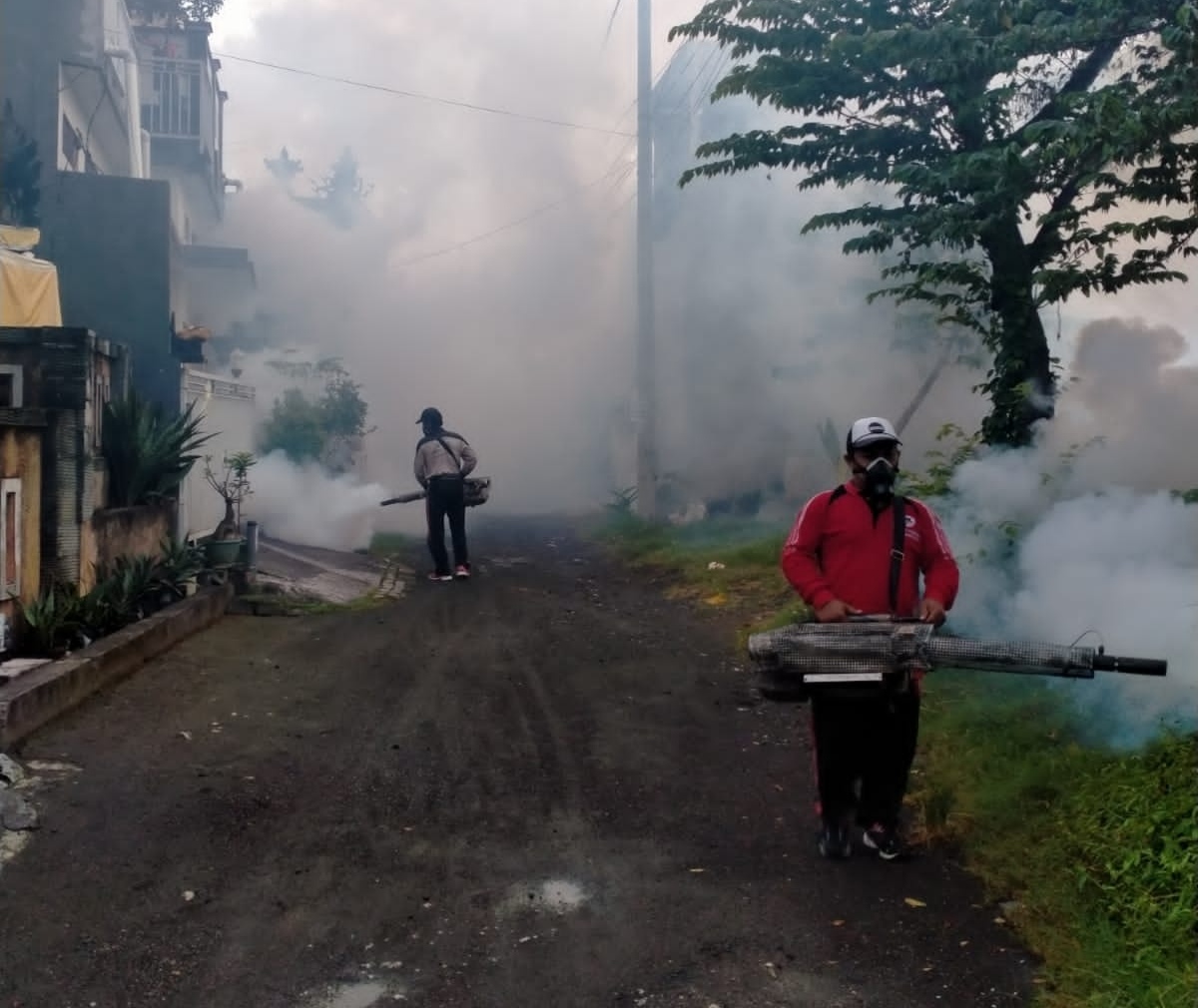Pemkot Denpasar Gencarkan Fogging Antisipasi DBD dan Chikungunya