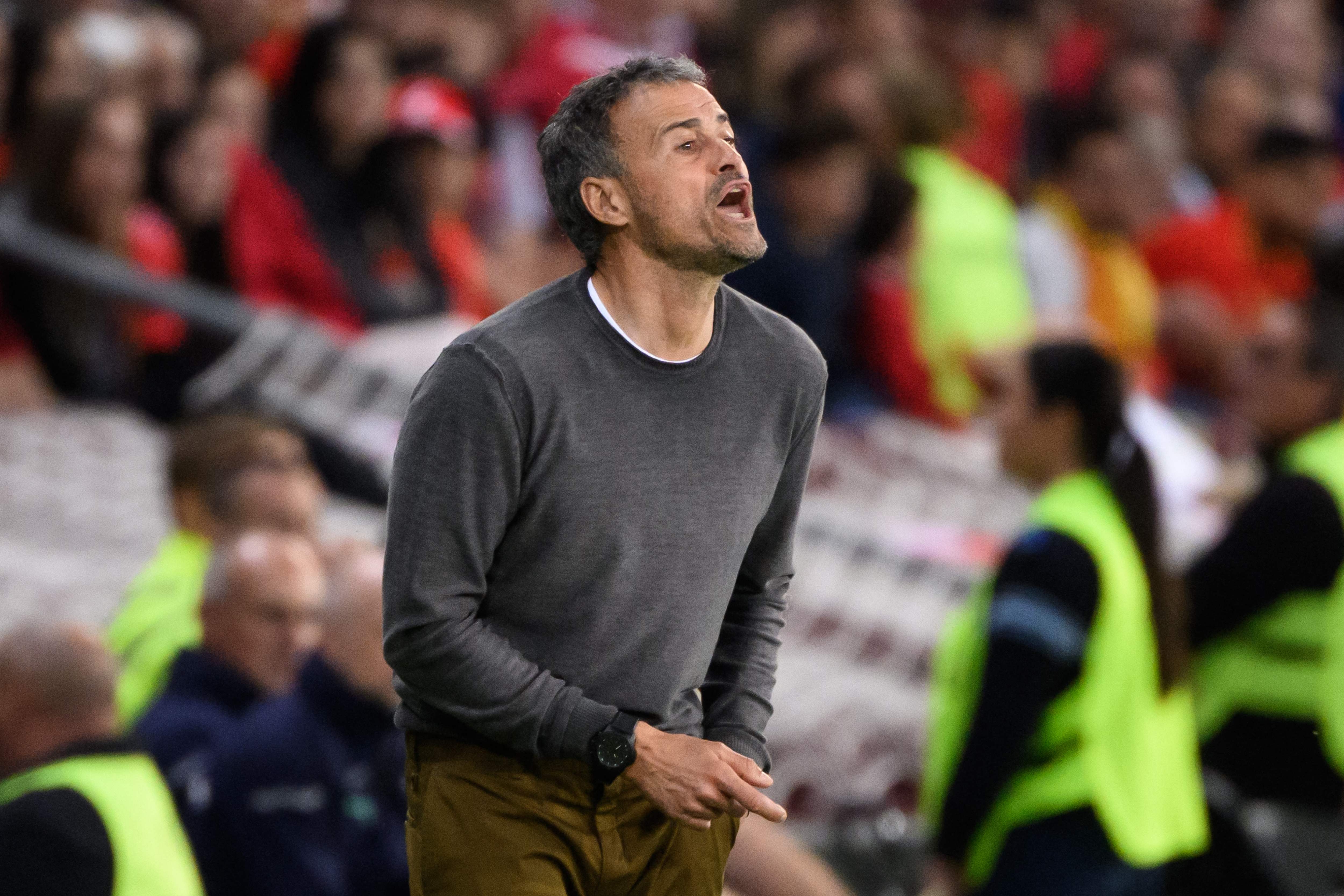 Pelatih timnas Spanyol Luis Enrique