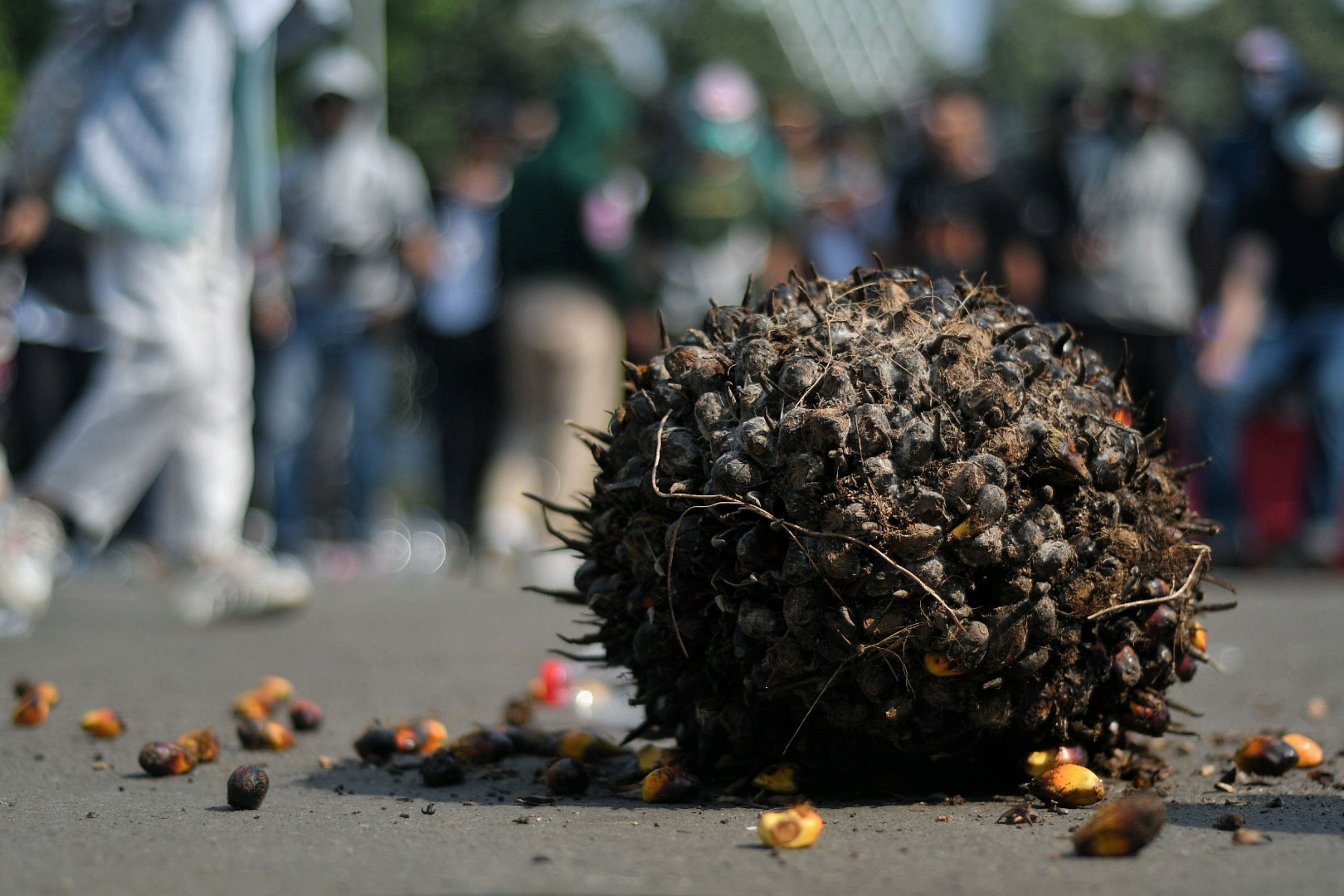 Harga CPO Tinggal Rp8.443 per kg Akibat Anjloknya Permintaan